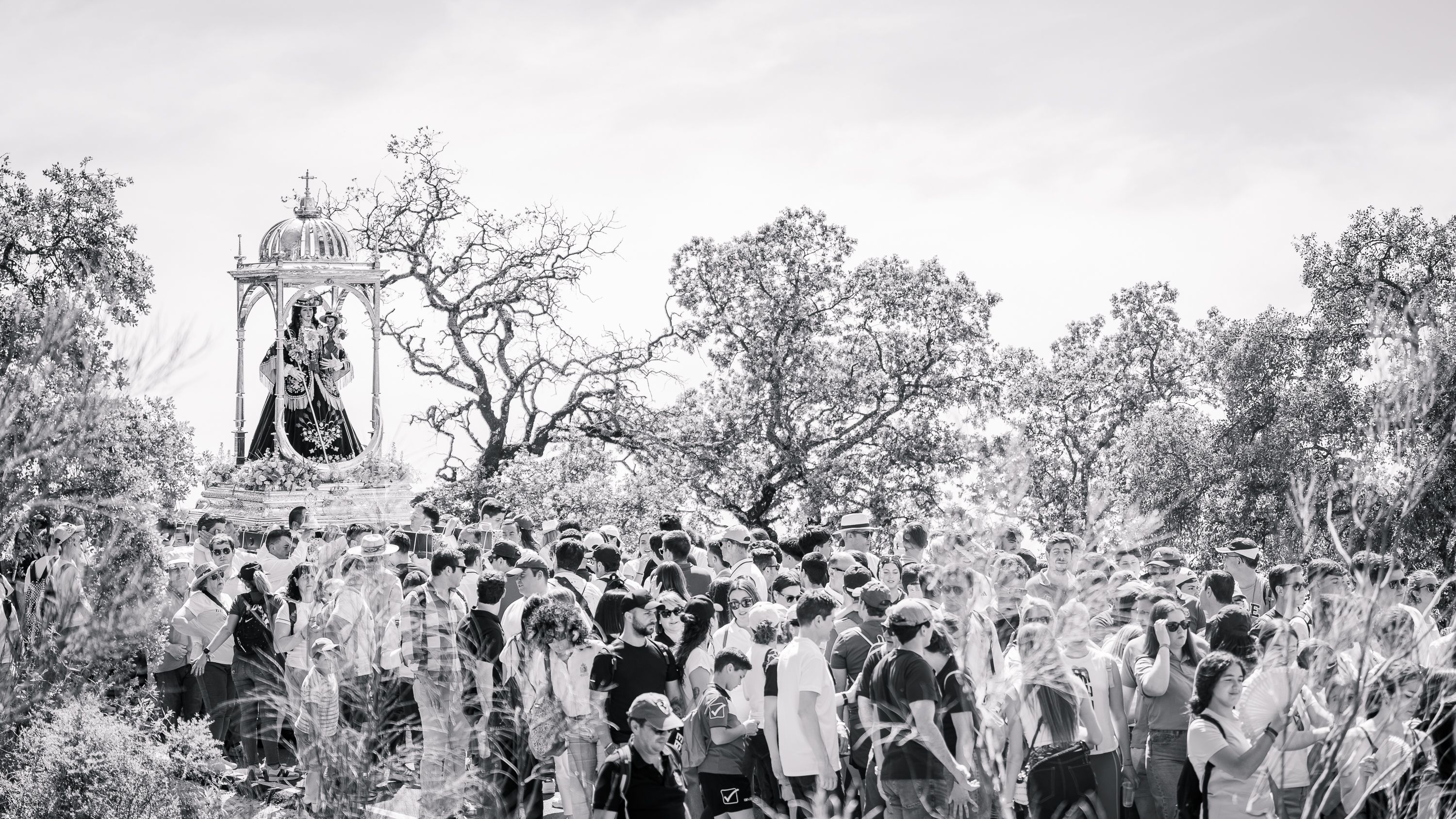 Romeria de Bajada 2026   Sierra (15)