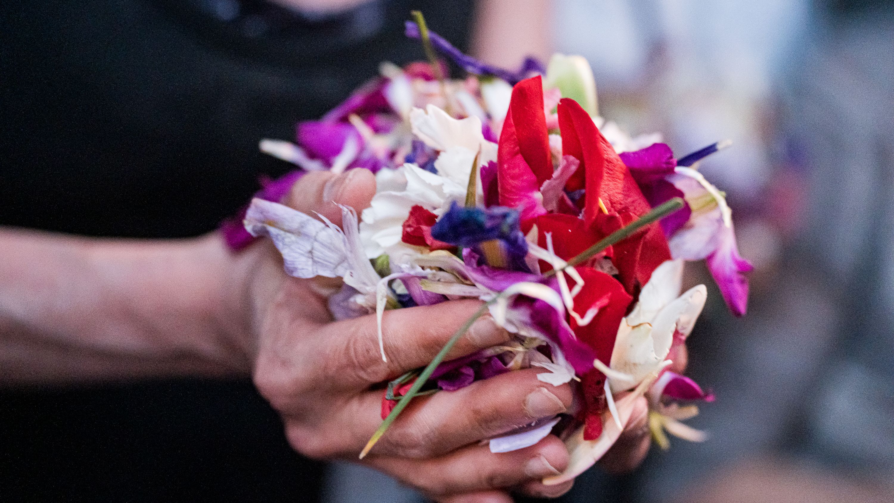 Romeria de Bajada 2026   Lucena (72)