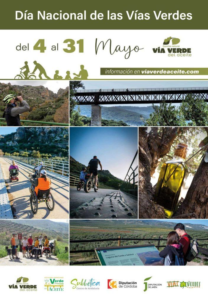 dia verdes 2 704x1024