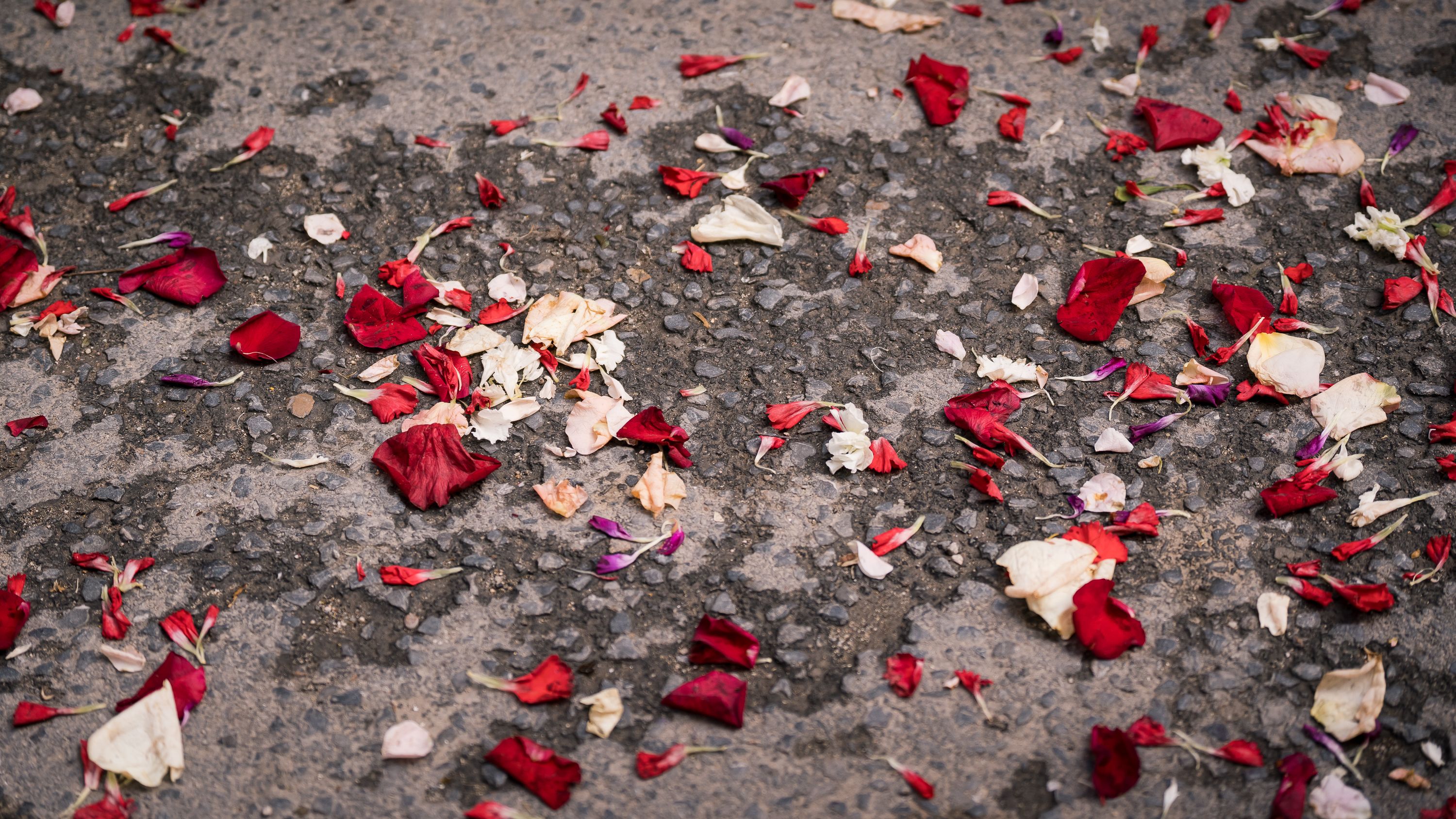 Araceli 2026   Traslado Carmen   San Matero (49)