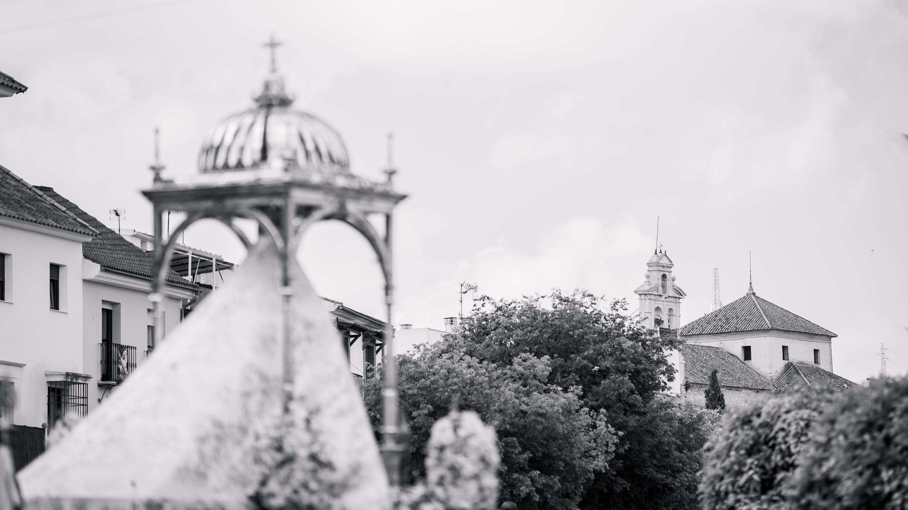 Araceli 2026   Traslado Carmen   San Matero (56)