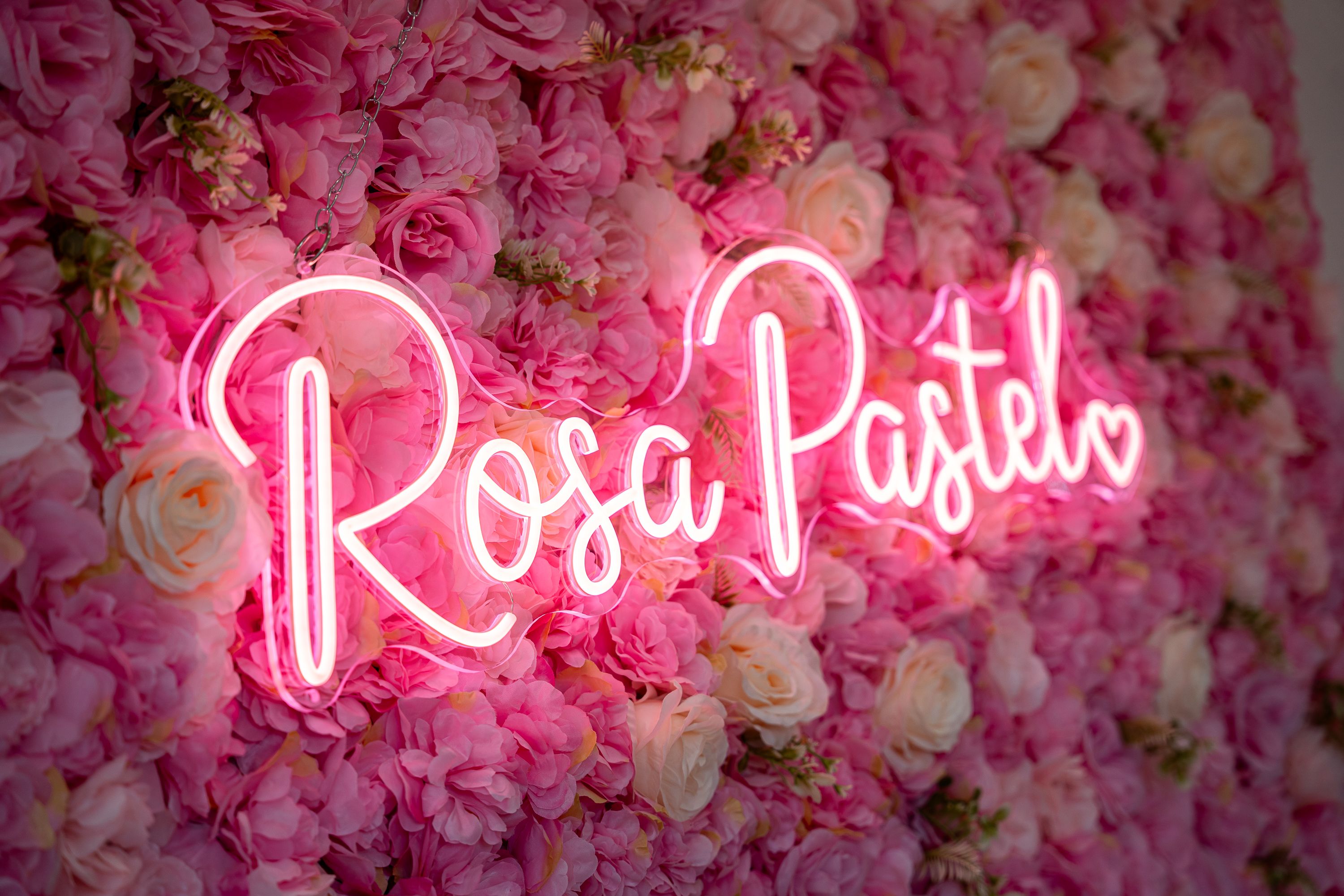 Inauguración   Rosa Pastel (3)