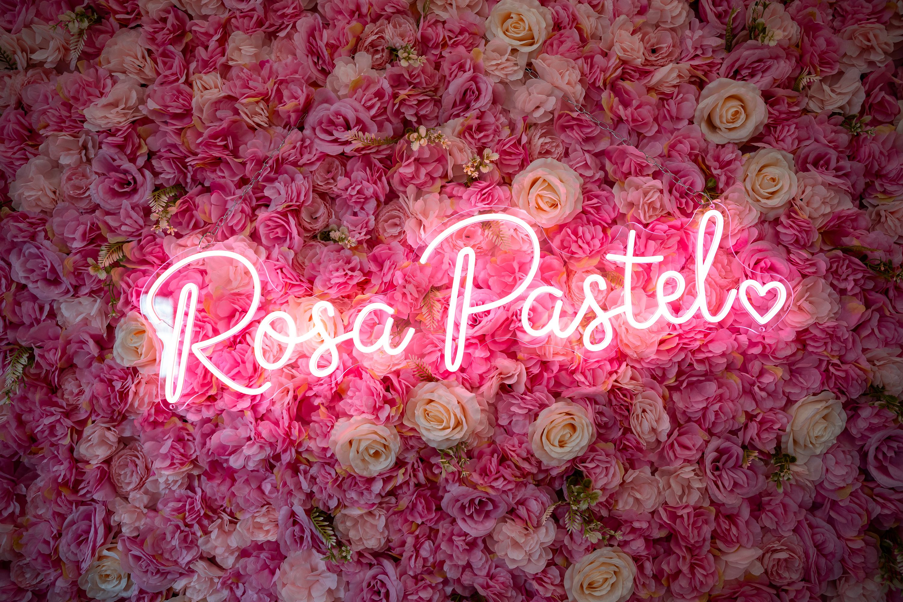 Inauguración   Rosa Pastel (16)