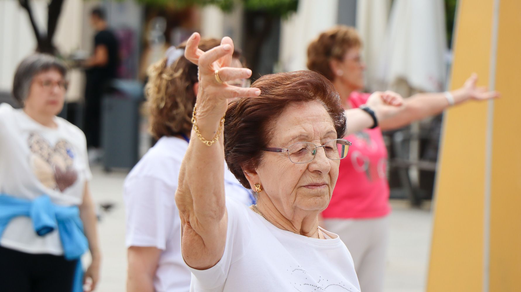 Jornada Asociación Lucentina de Fibromialgia    16