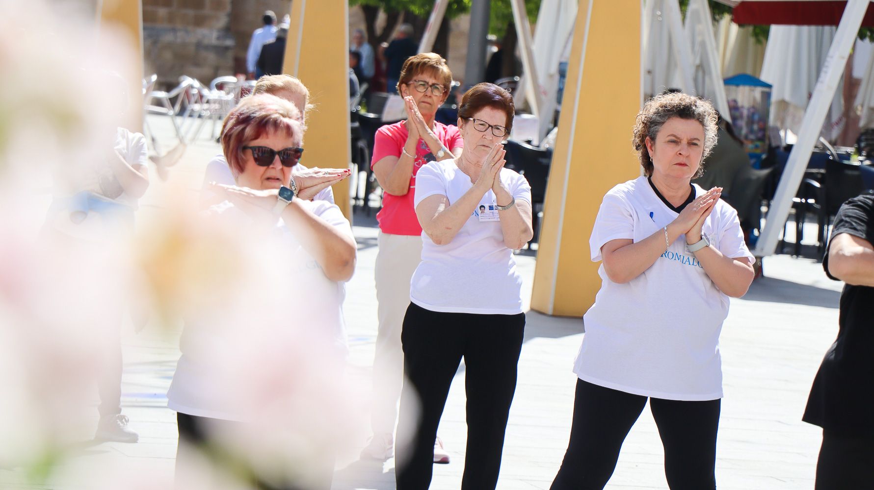 Jornada Asociación Lucentina de Fibromialgia    34
