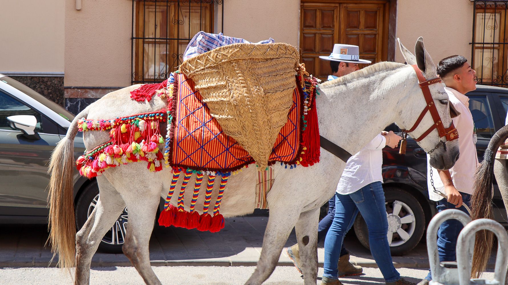 Salida Hdad. Rocío Lucena 26