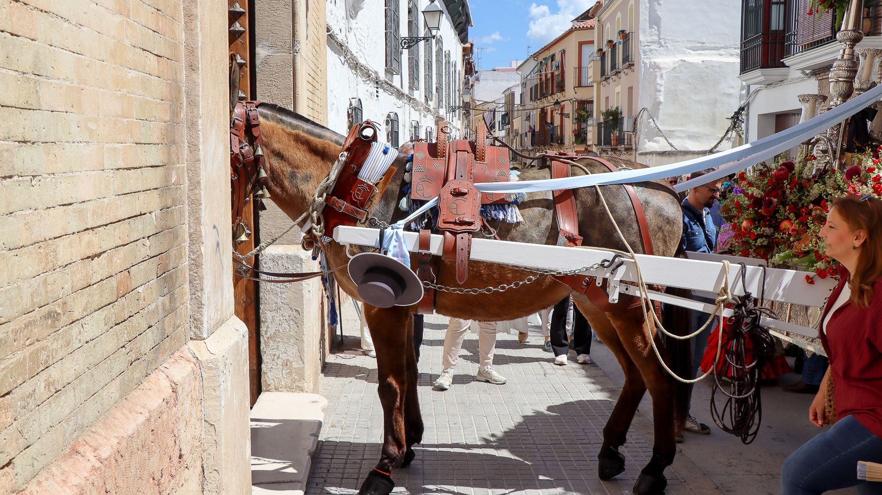 Salida Hdad. Rocío Lucena 46