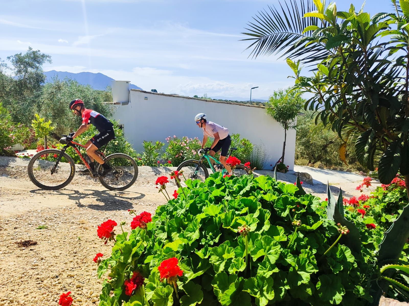 XXXI Ruta MTB Ciudad de Lucena