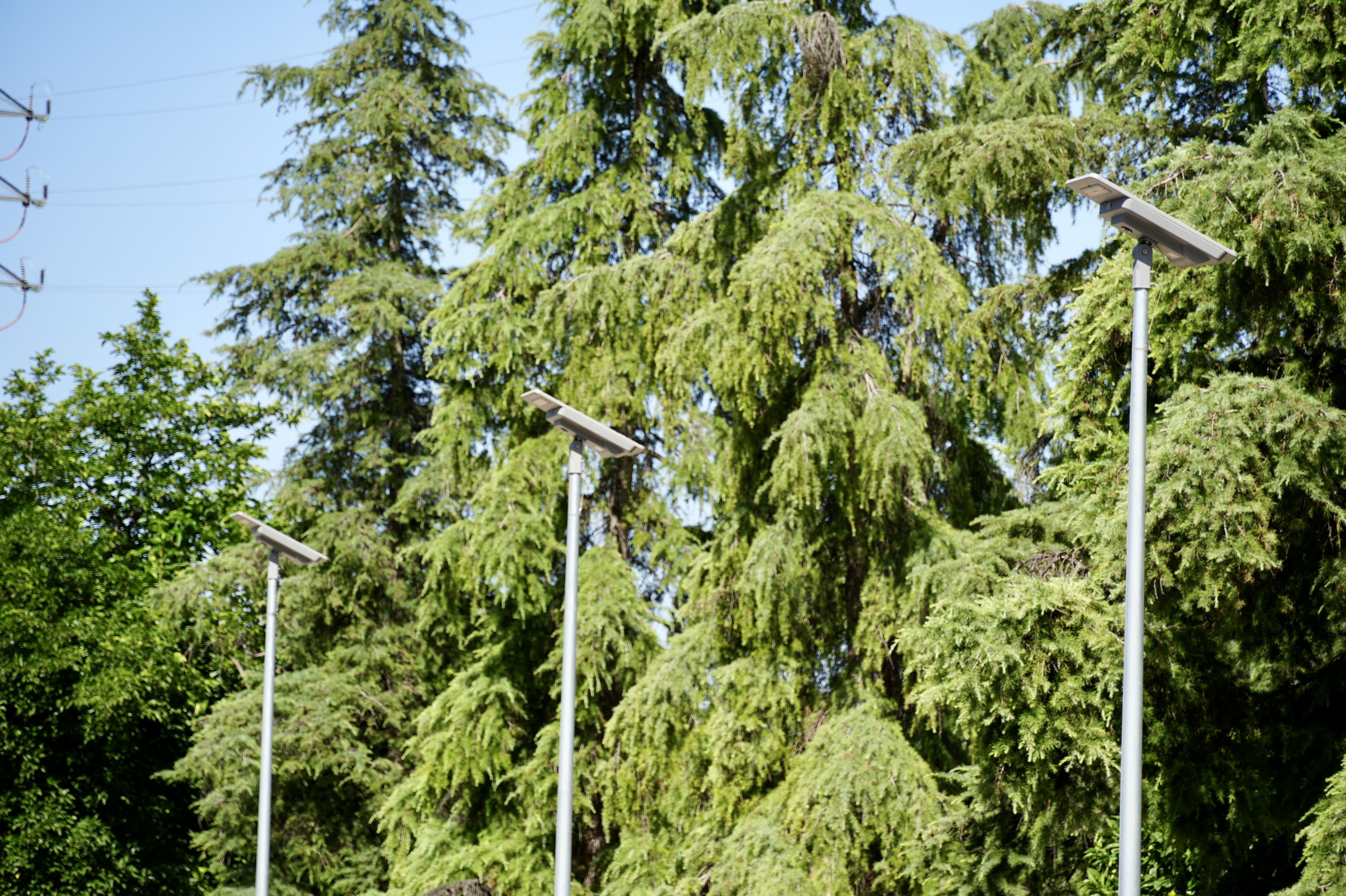 Farolas solares en la Vía Verde