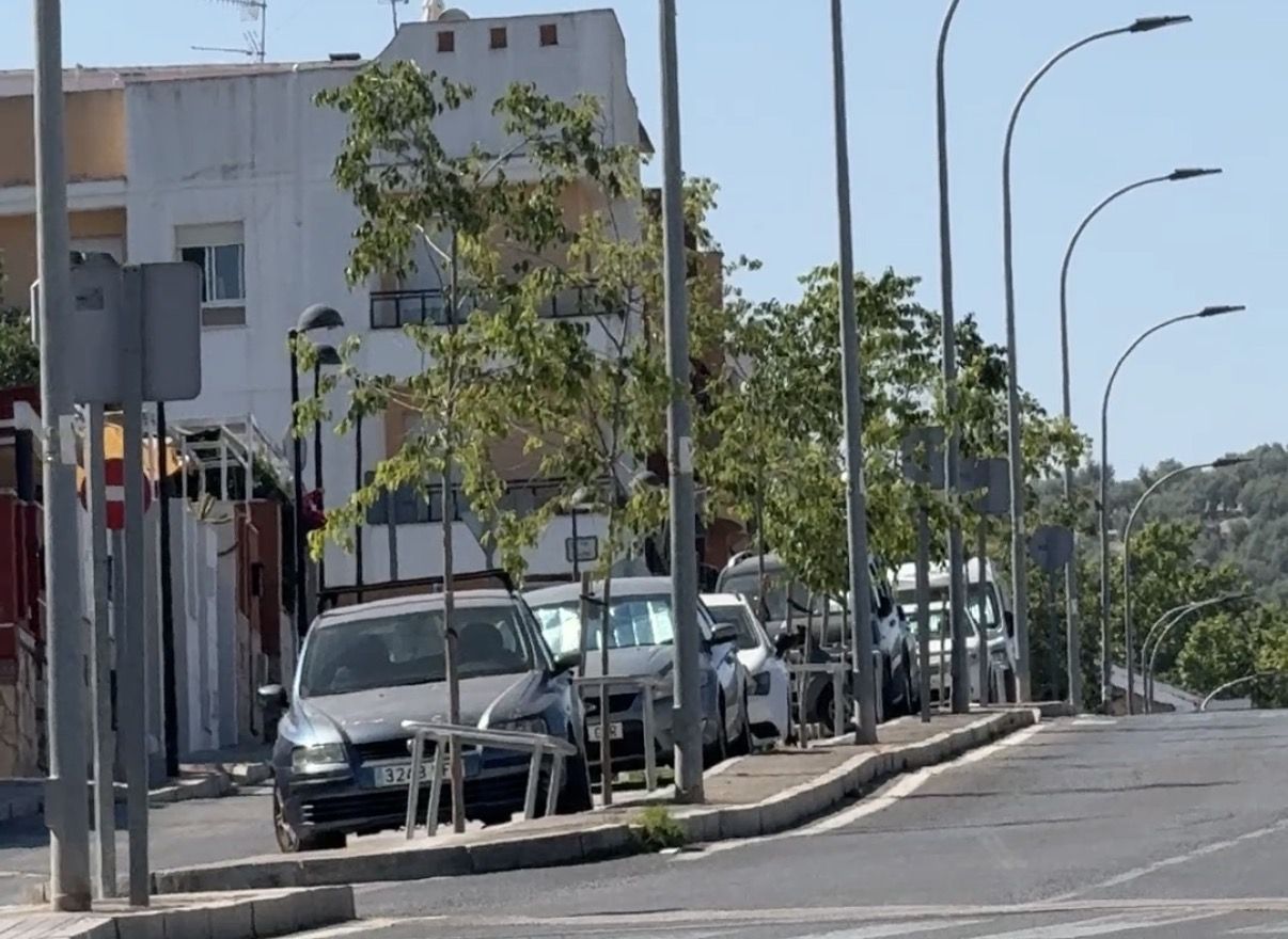 Algunos de los árboles plantados en la Ronda del Valle