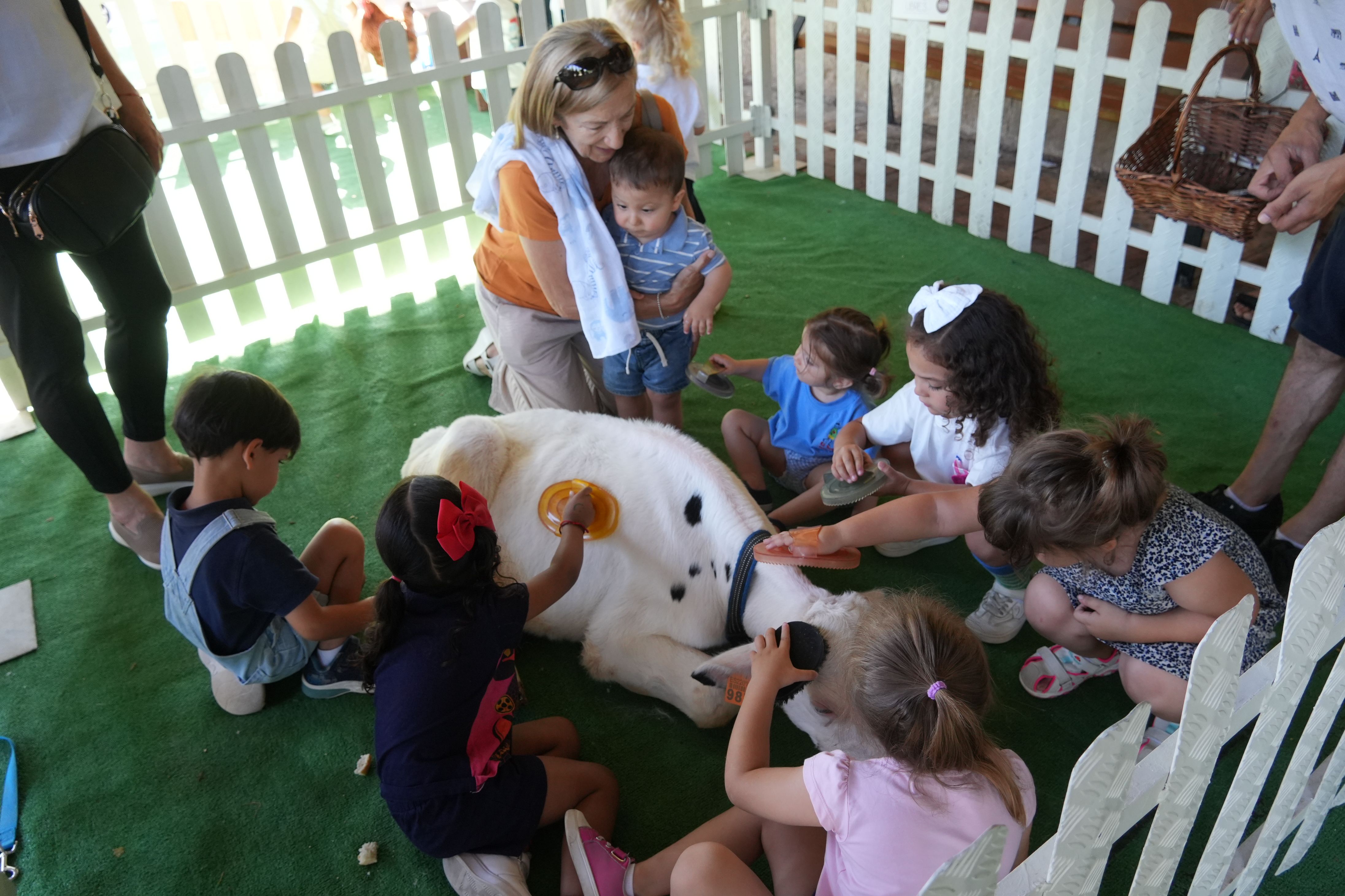 Varios niños y niñas cepillan a una cría de ternera en esta granja escuela itinerante