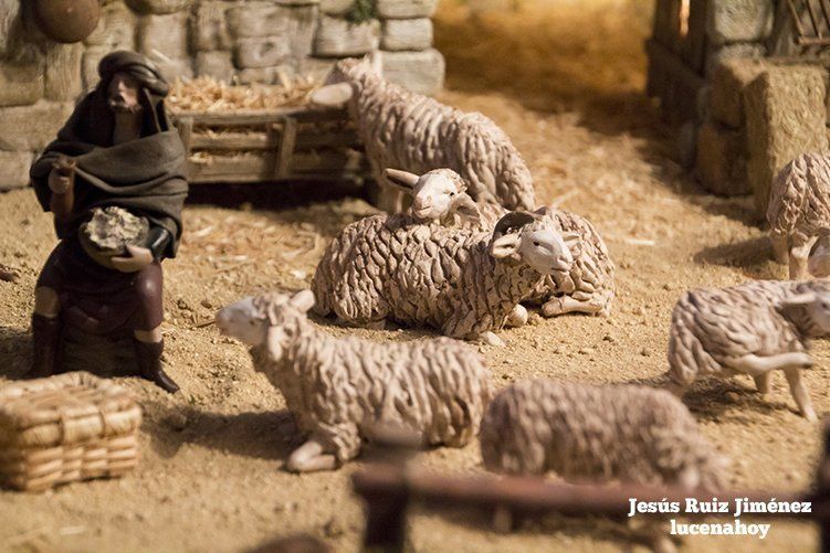 Galería: Te deseamos ¡Feliz Navidad!, con el portal de Rafael Encabo, ganador del Concurso de Belenes 2015