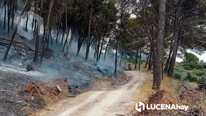 incendio rute incendio rute