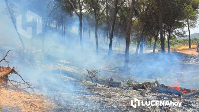 incendio rute 3 incendio rute 3