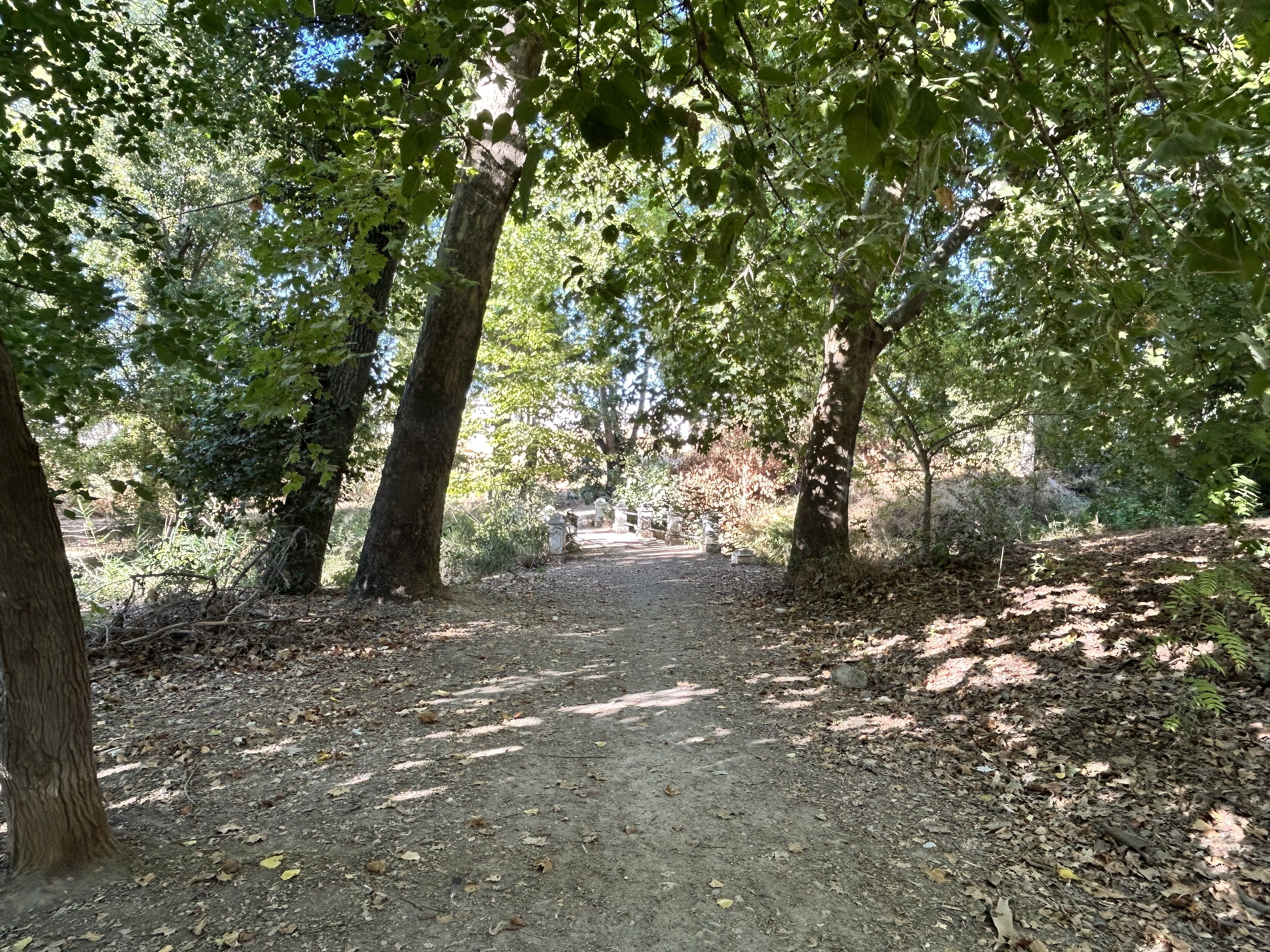 Una imagen del parque de El Cascajar tomada en la tarde de ayer