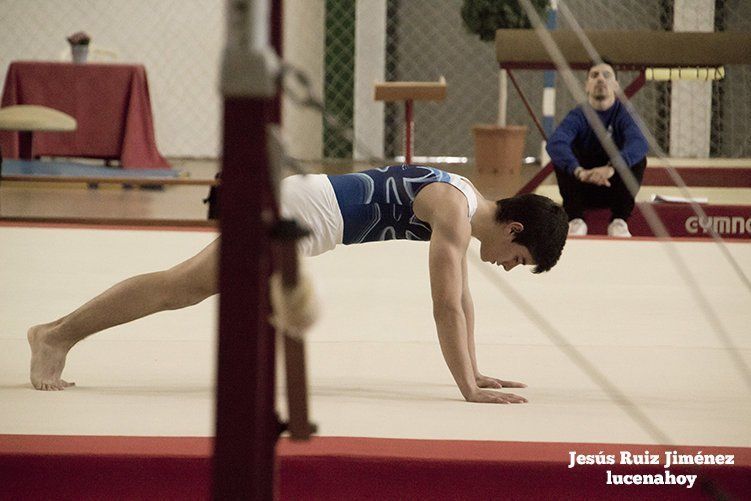 Foto-Galería: 200 jóvenes gimnastas participaron en el Trofeo de Navidad andaluz, celebrado ayer en el Pabellón Cubierto