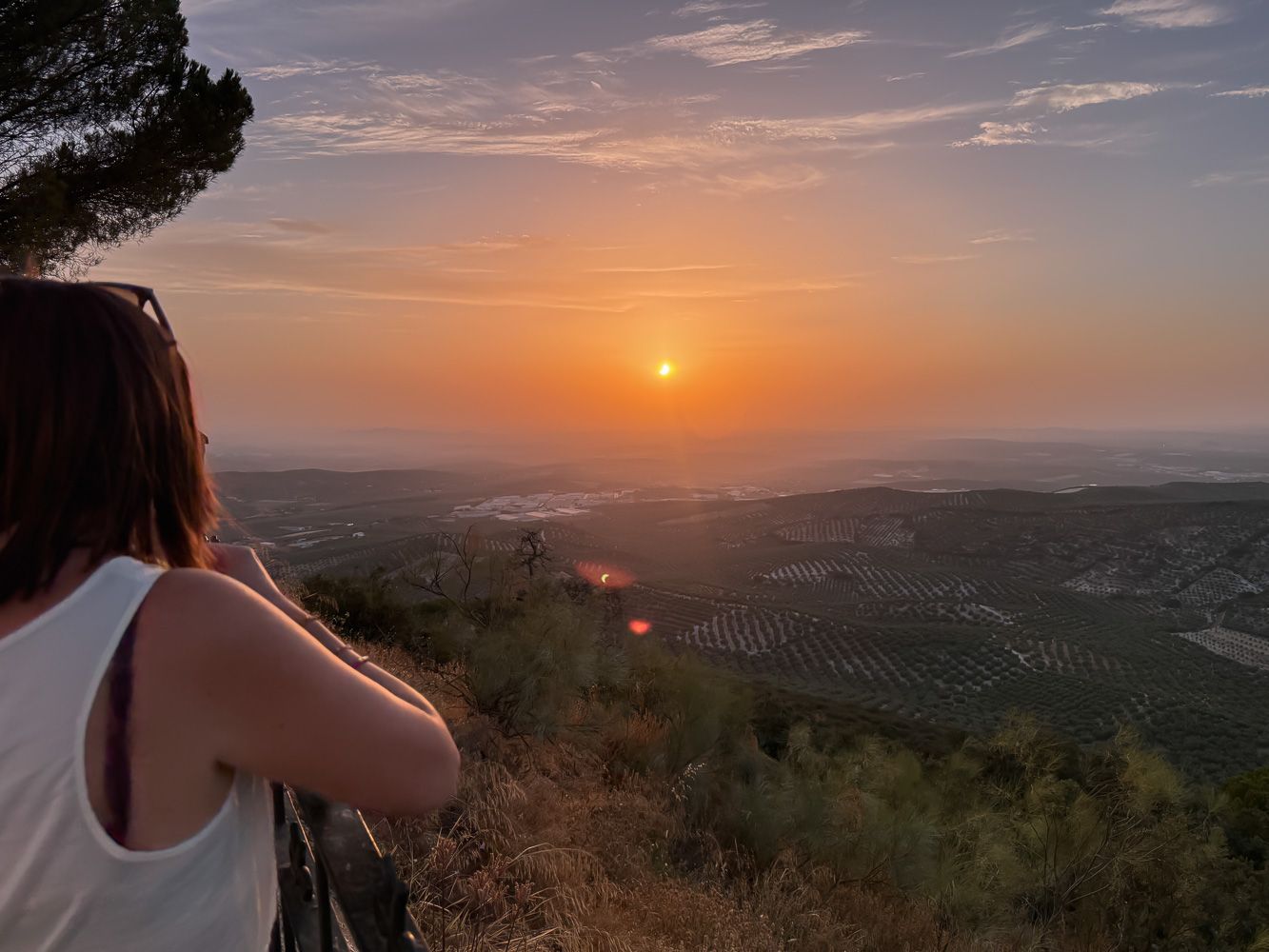 Eclipse solar en la Sierra de Aras 19