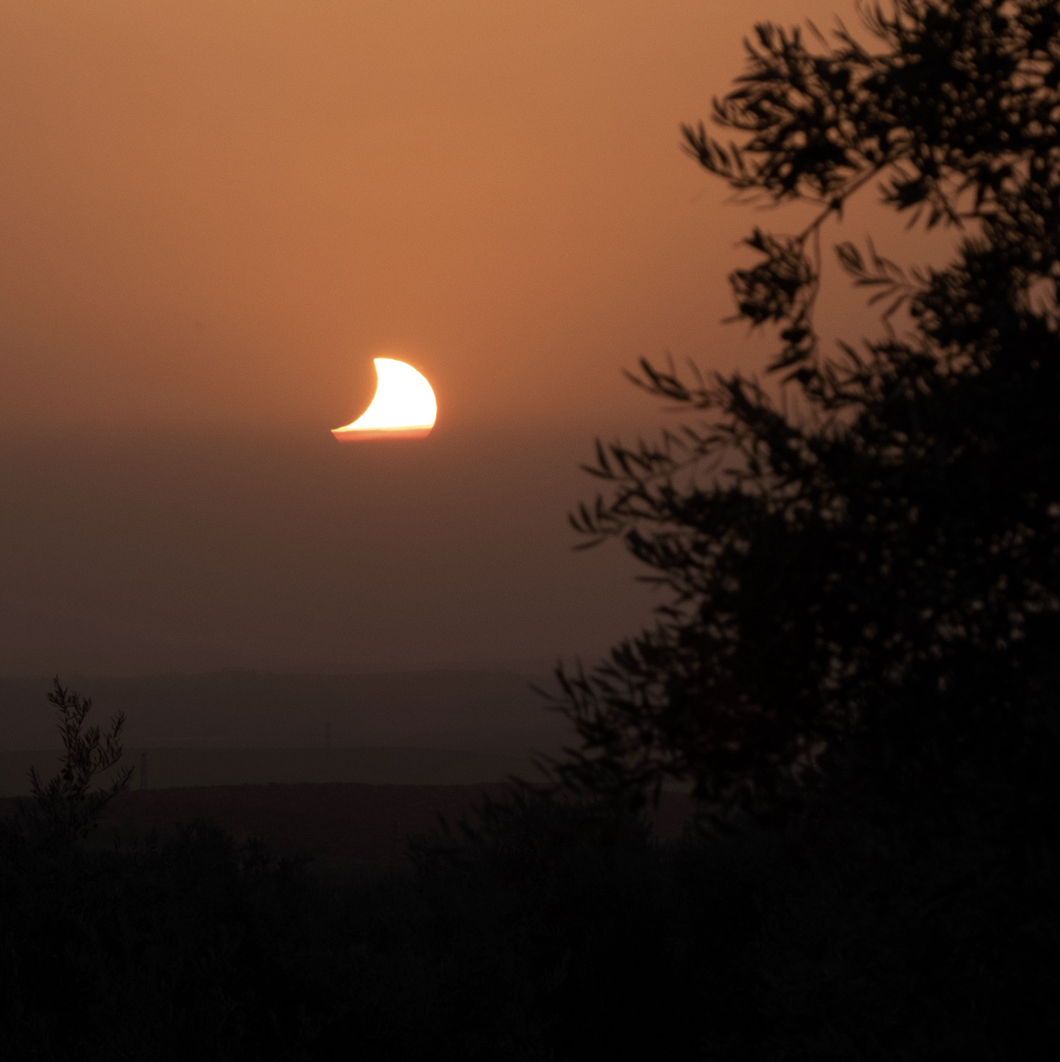 Eclipse solar en la Sierra de Aras. (Imagen: Joaquin Ferrer)