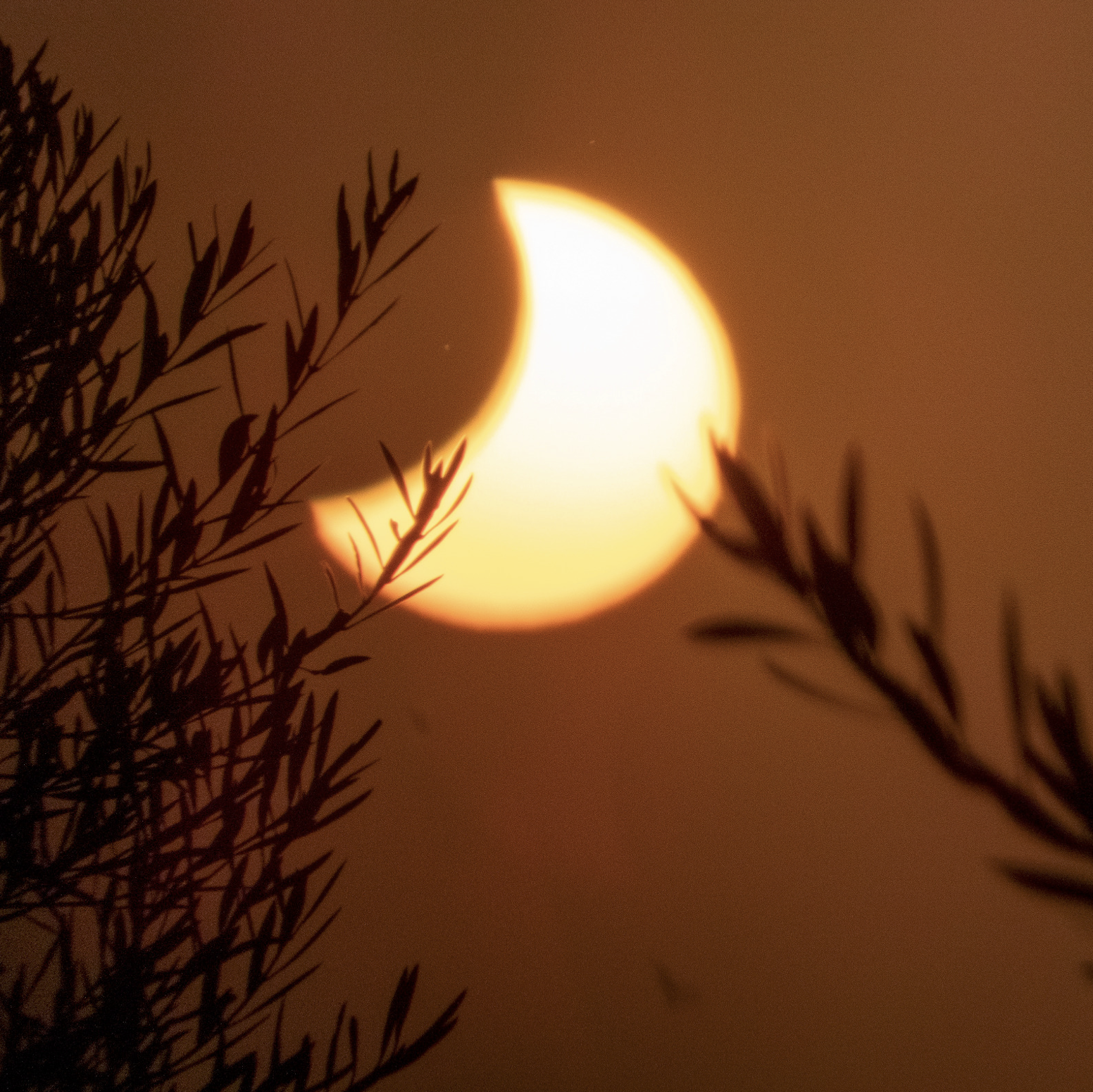 Eclipse solar en la Sierra de Aras. (Imagen: Joaquin Ferrer)
