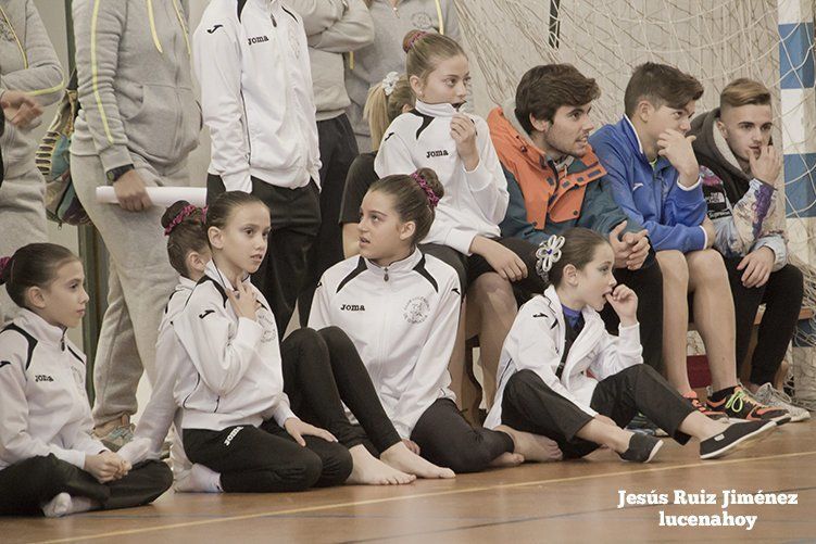 Foto-Galería: 200 jóvenes gimnastas participaron en el Trofeo de Navidad andaluz, celebrado ayer en el Pabellón Cubierto