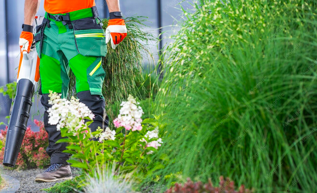 Trabajos de jardinería. Foto: Magnific