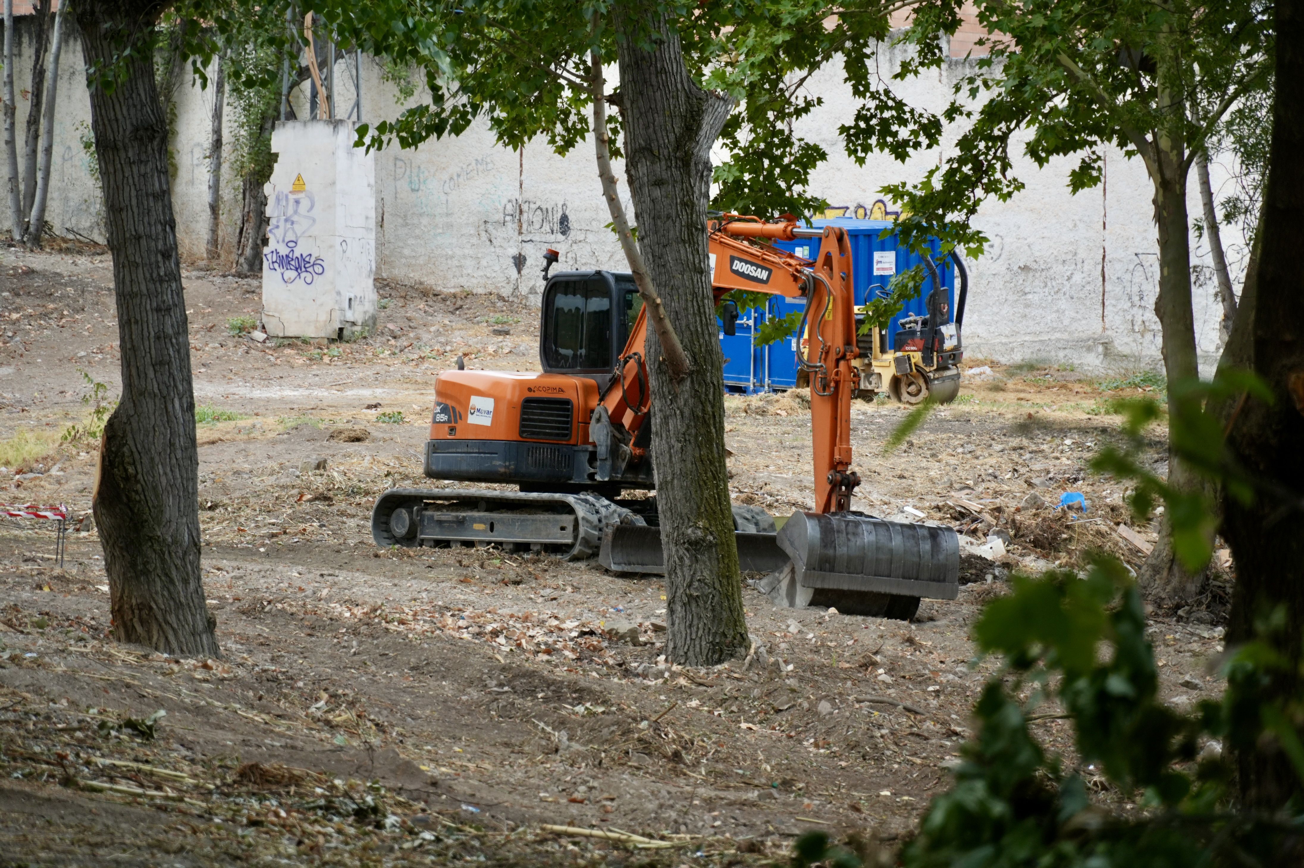 Trabajos de retirada de maleza y árboles enfermos o secos en el entorno de El Cascajar