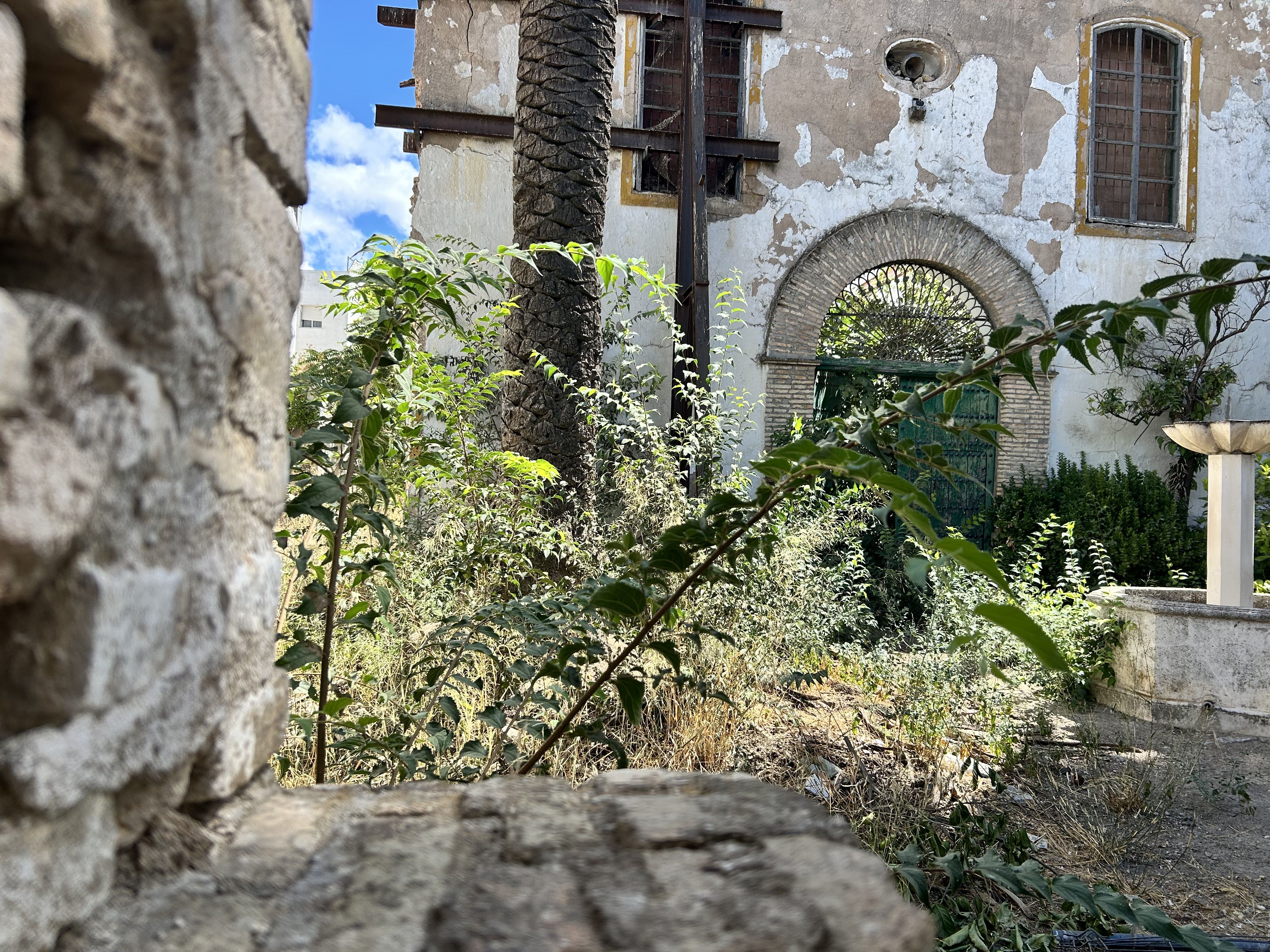 Interior de las Bodegas Víbora, esta mañana