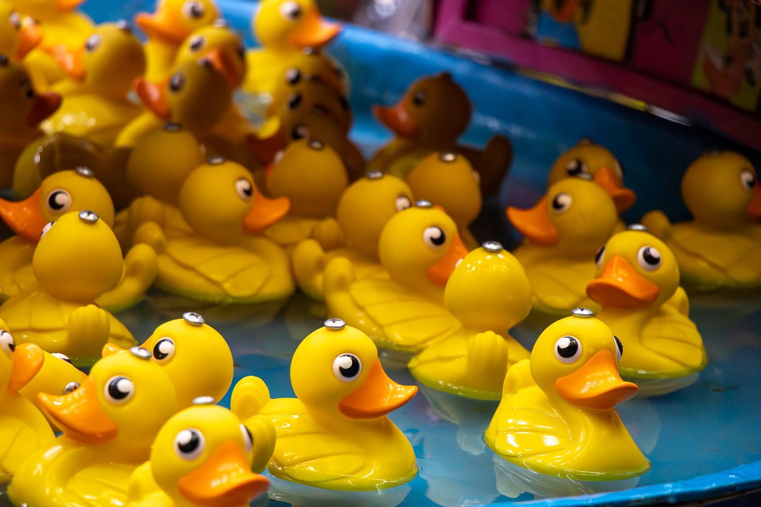 Día del Niño en la Feria del Valle 2026 53