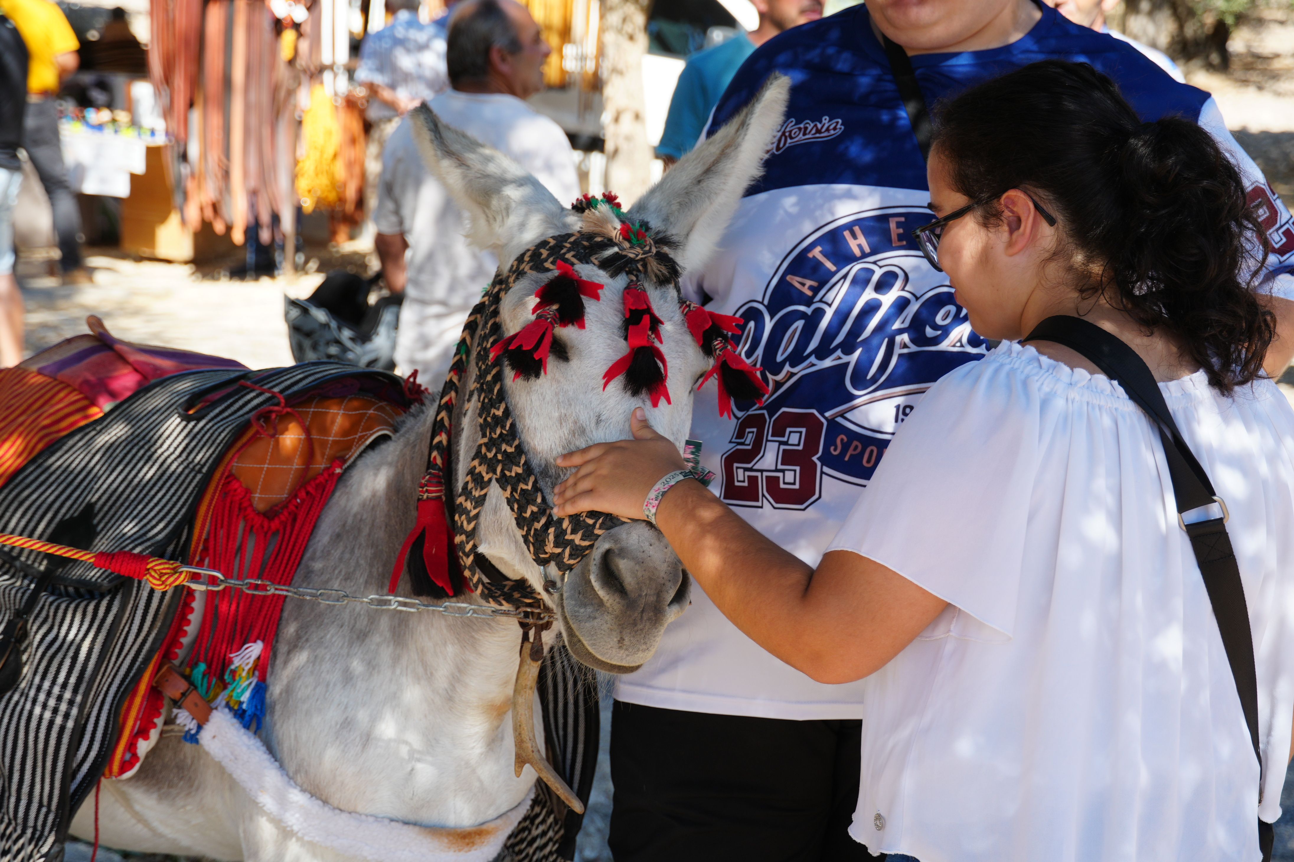 Feria de Ganados 2026 en Lucena