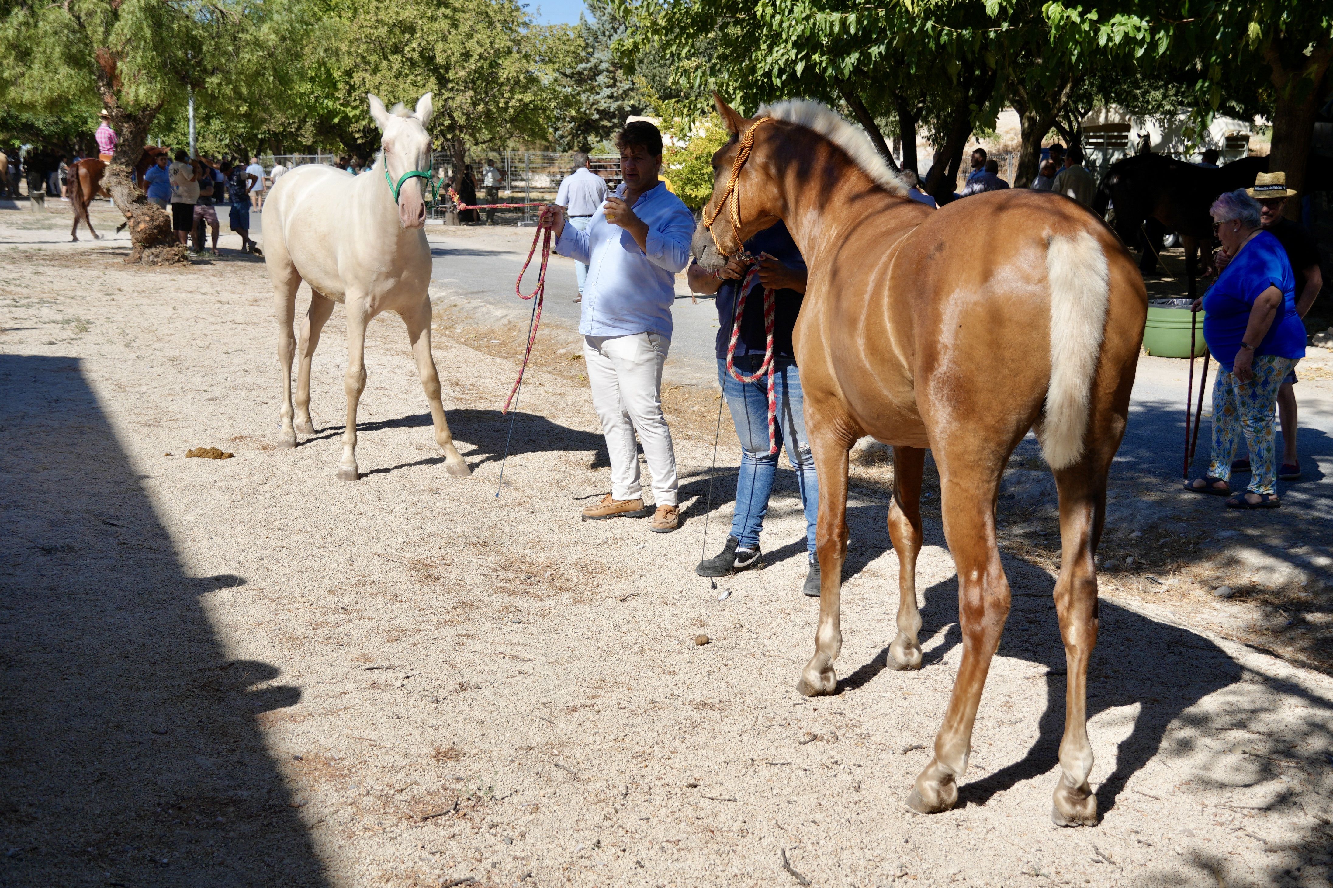 Feria de Ganados 2026 en Lucena