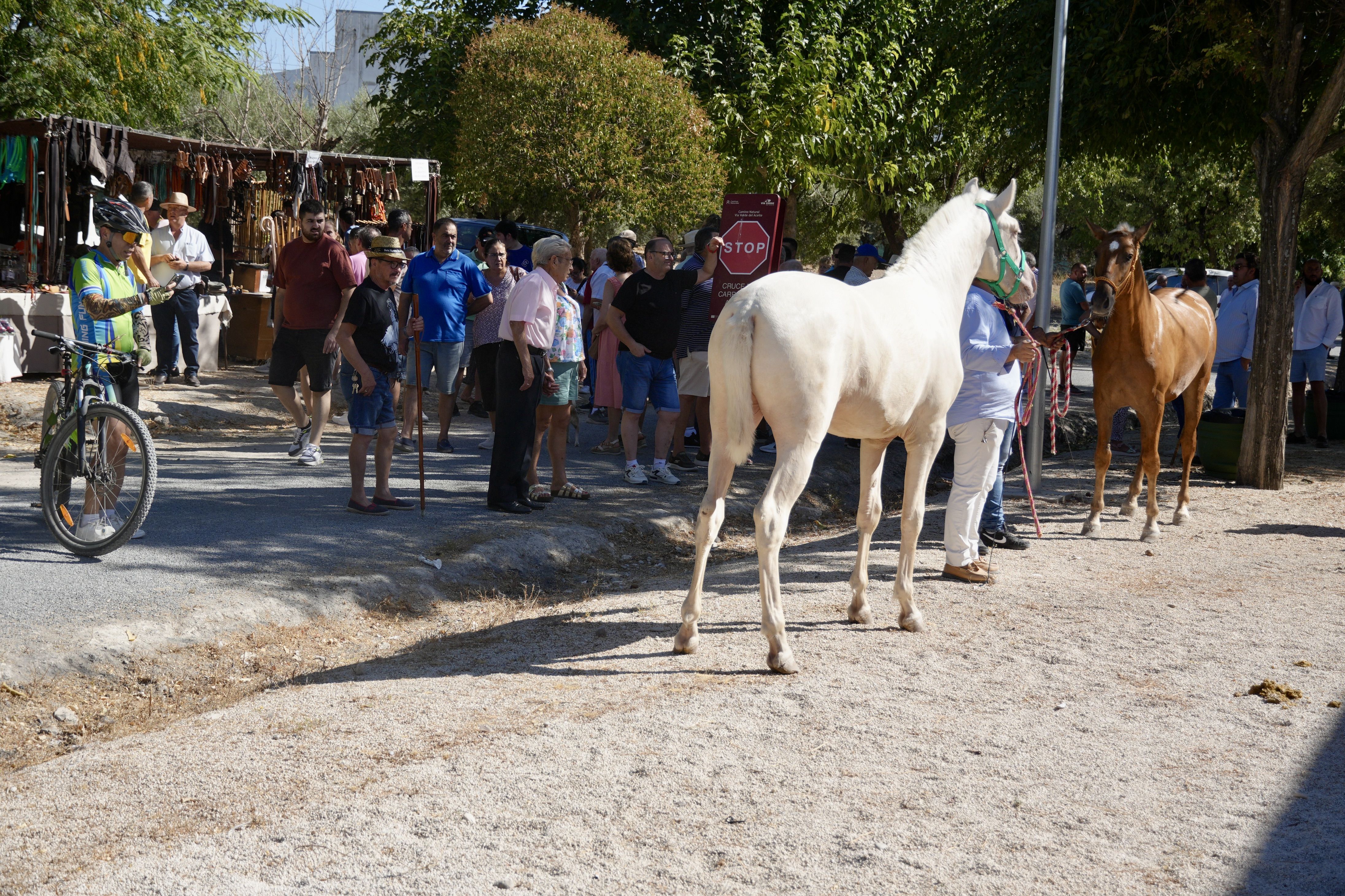 Feria de Ganados 2026 en Lucena