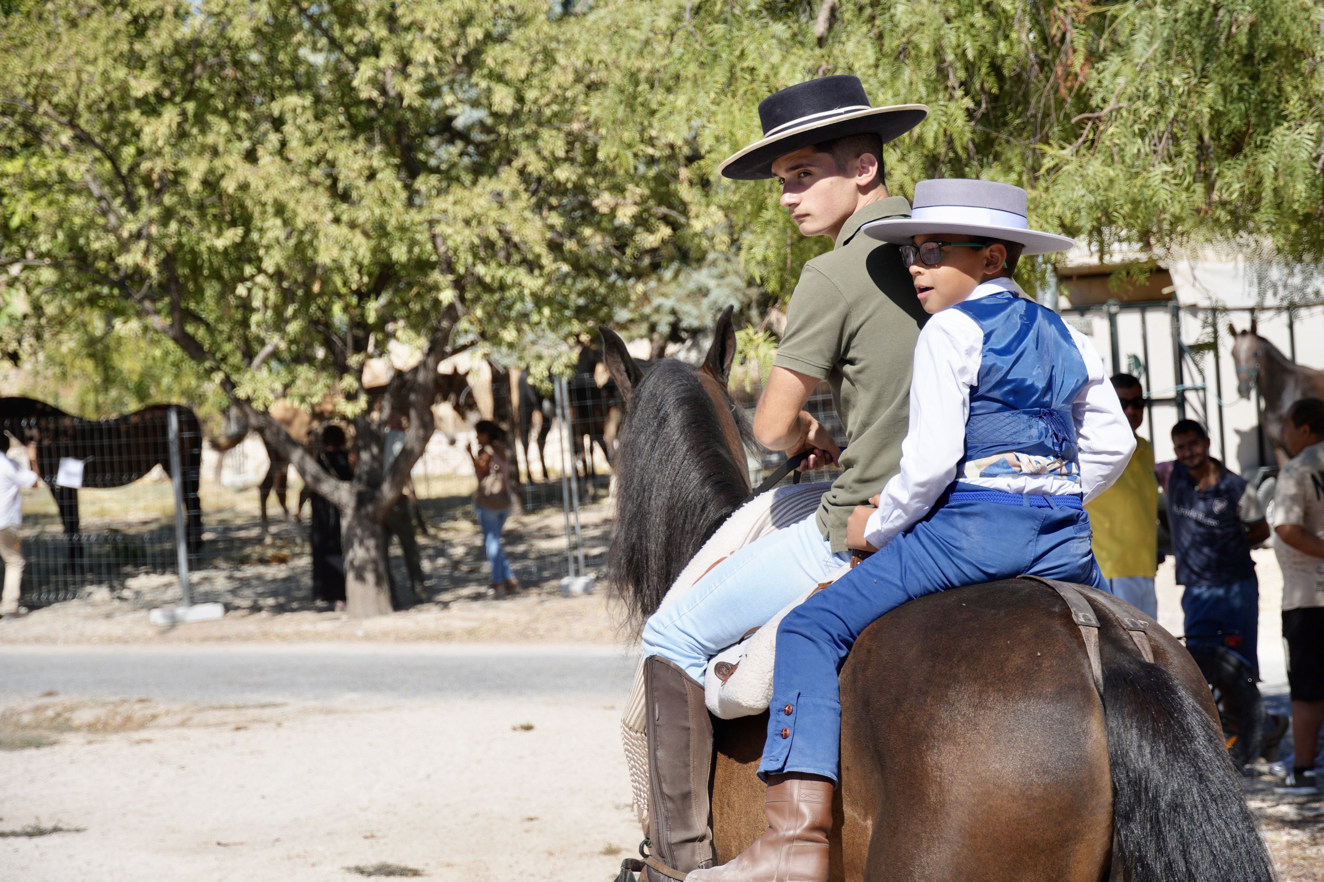 Feria de Ganados 2026 en Lucena