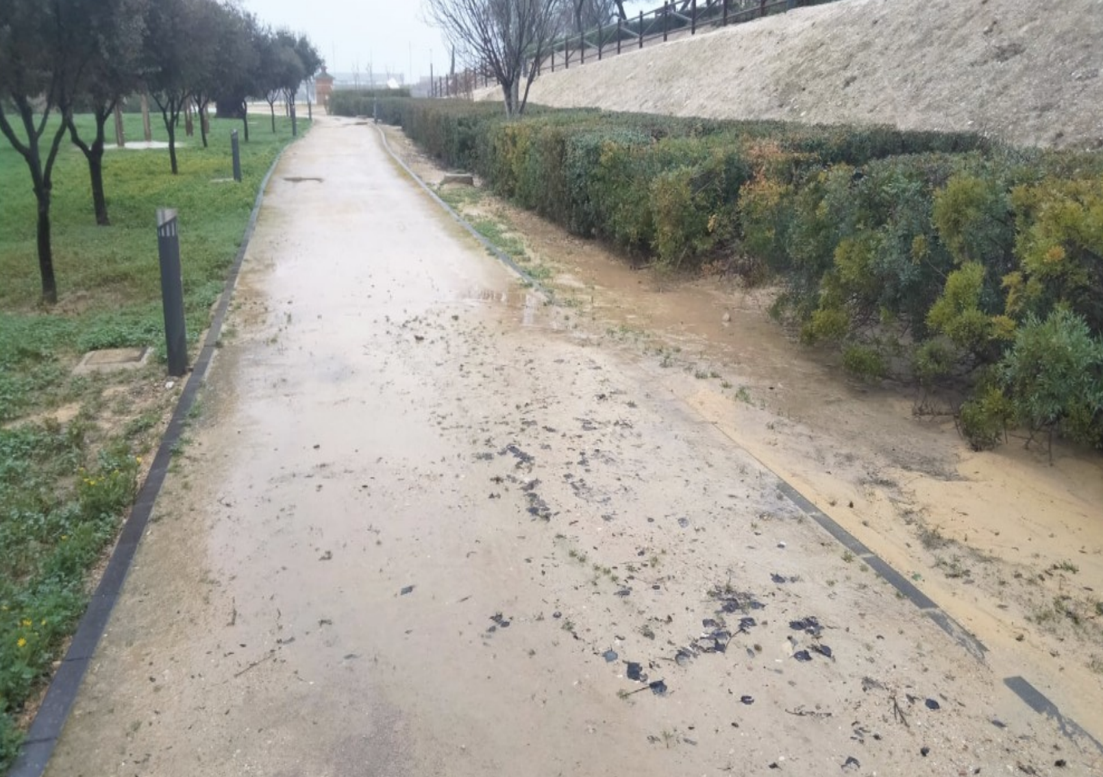Daños provocados por el deficiente drenaje de los taludes del Parque Europa Daños provocados por el deficiente drenaje de los taludes del Parque Europa