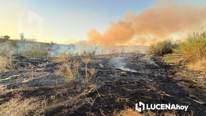 Terreno calcinado por las llamas Terreno calcinado por las llamas