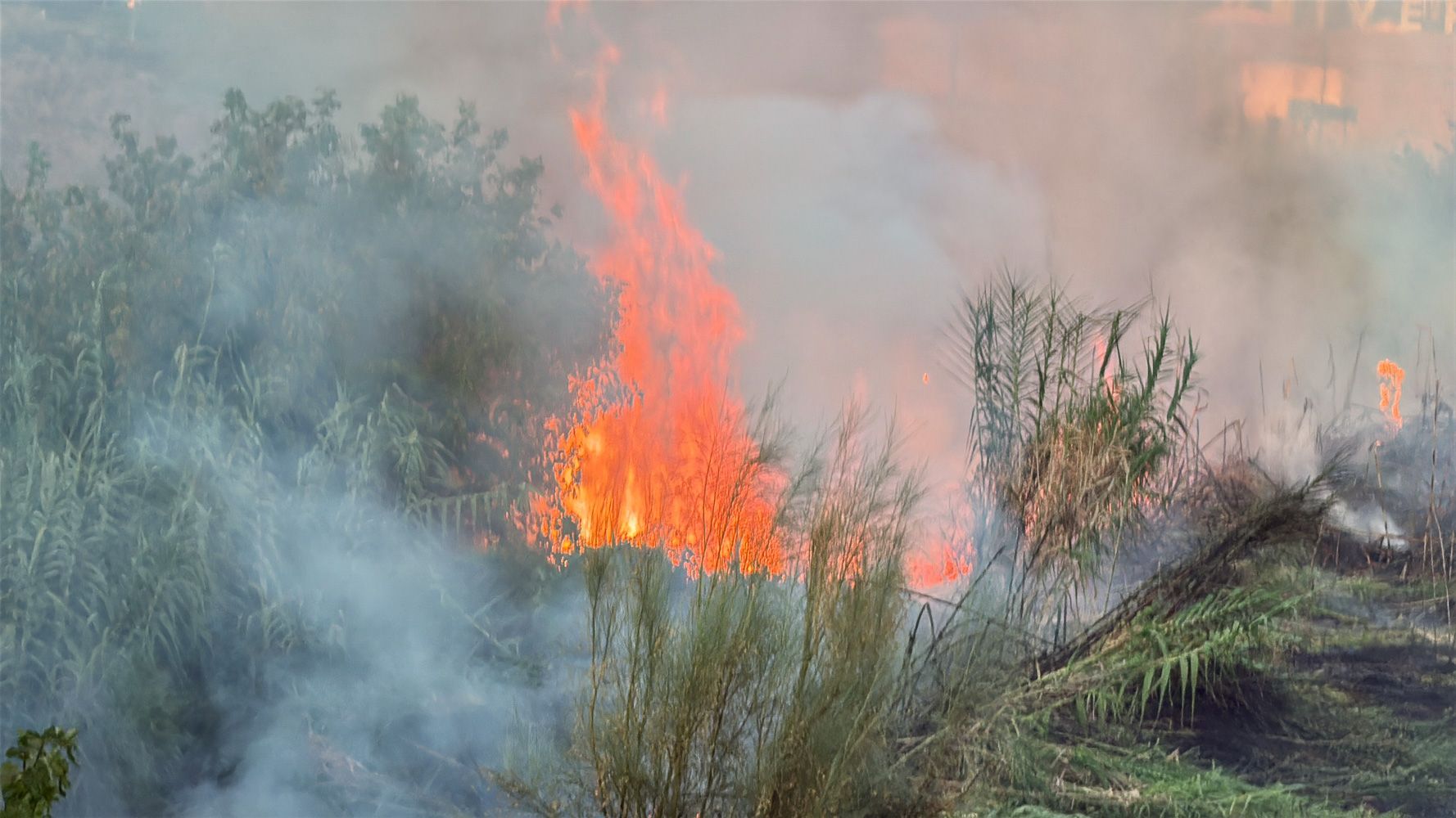 Incendio Oeste 1  4