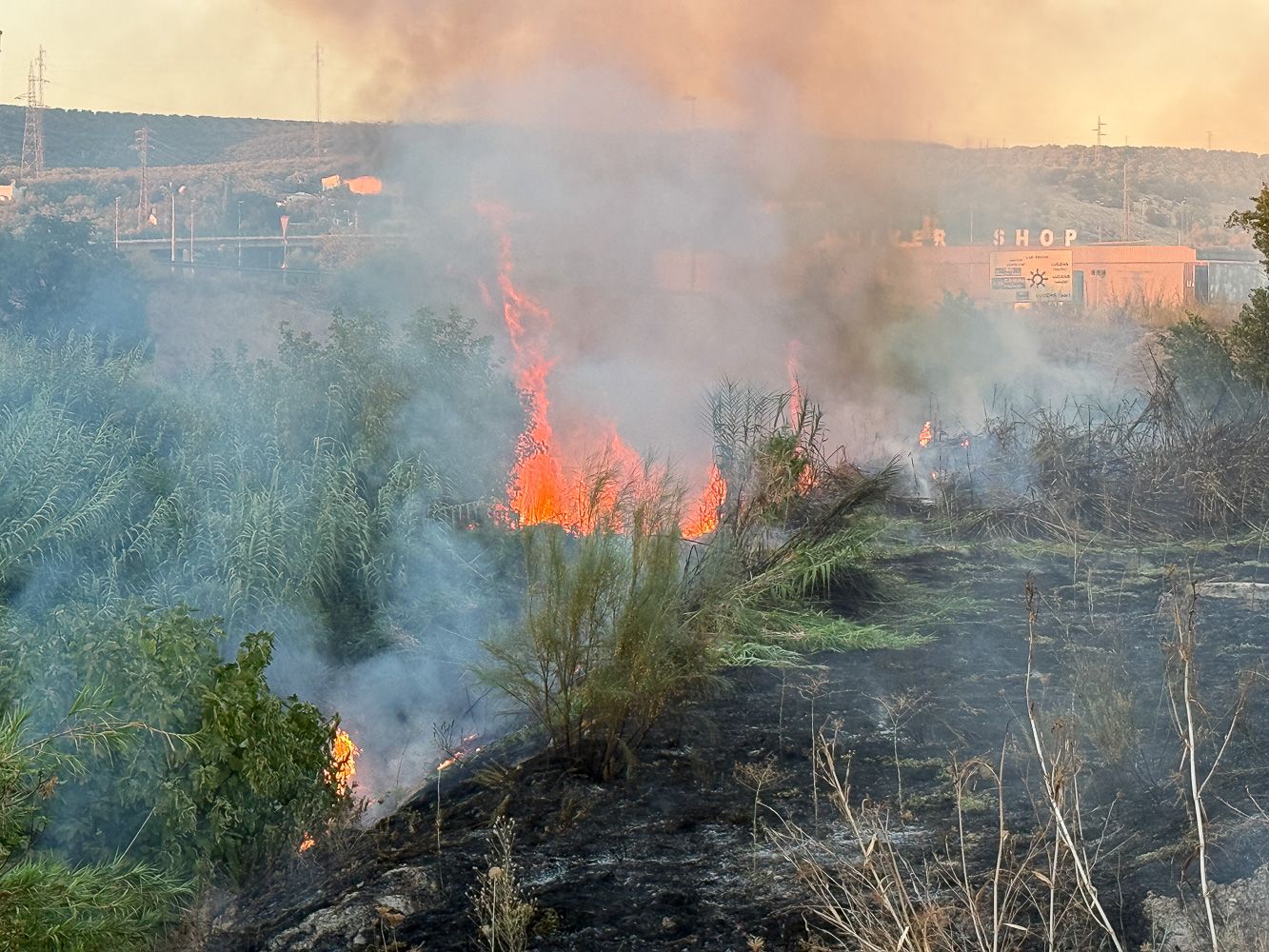 Incendio Oeste 1  5