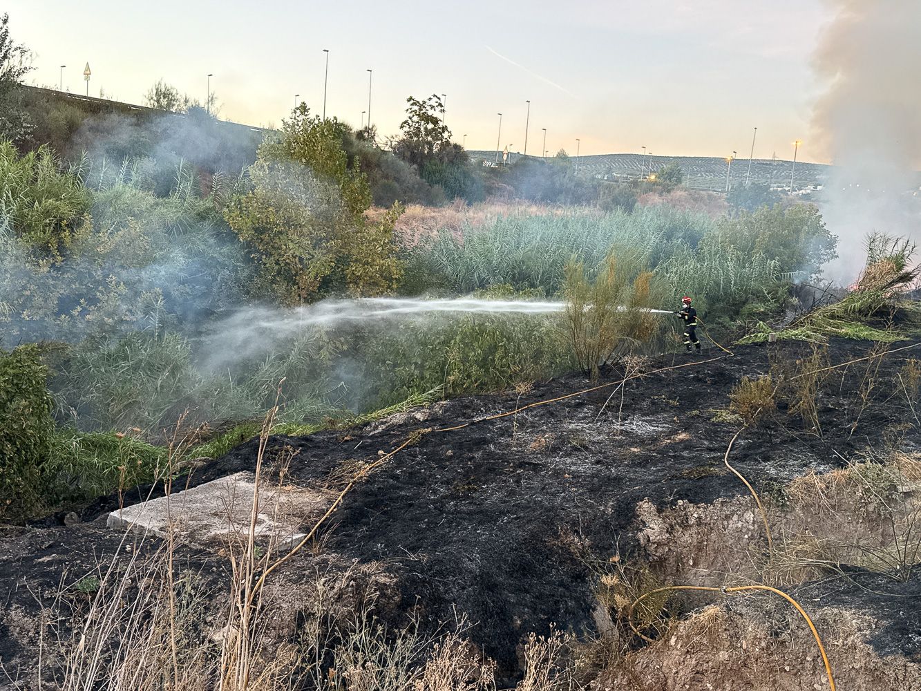 Incendio Oeste 1  16
