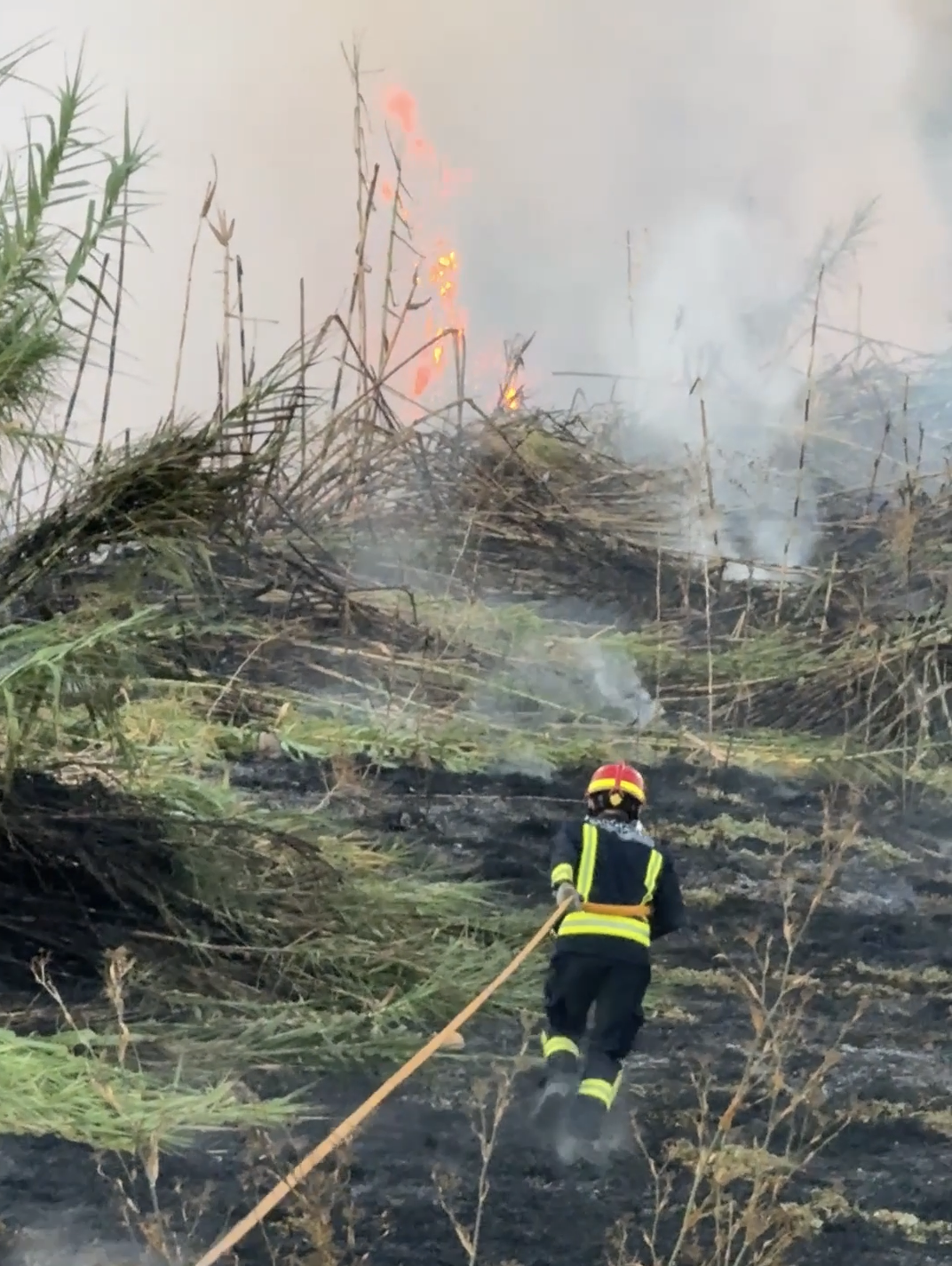 Incendio Oeste 1