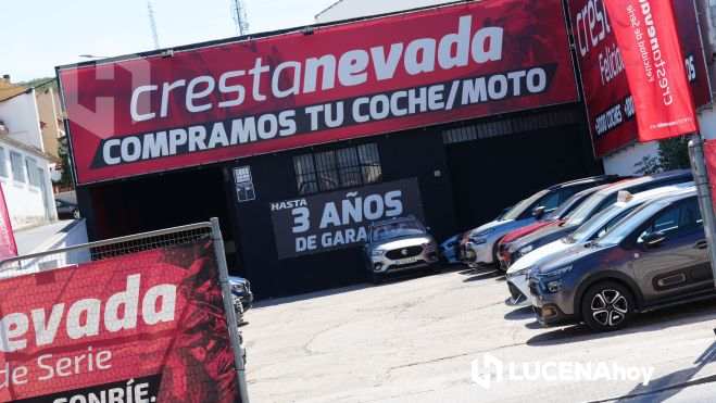 Establecimiento de Crestanevada en Lucena Establecimiento de Crestanevada en Lucena
