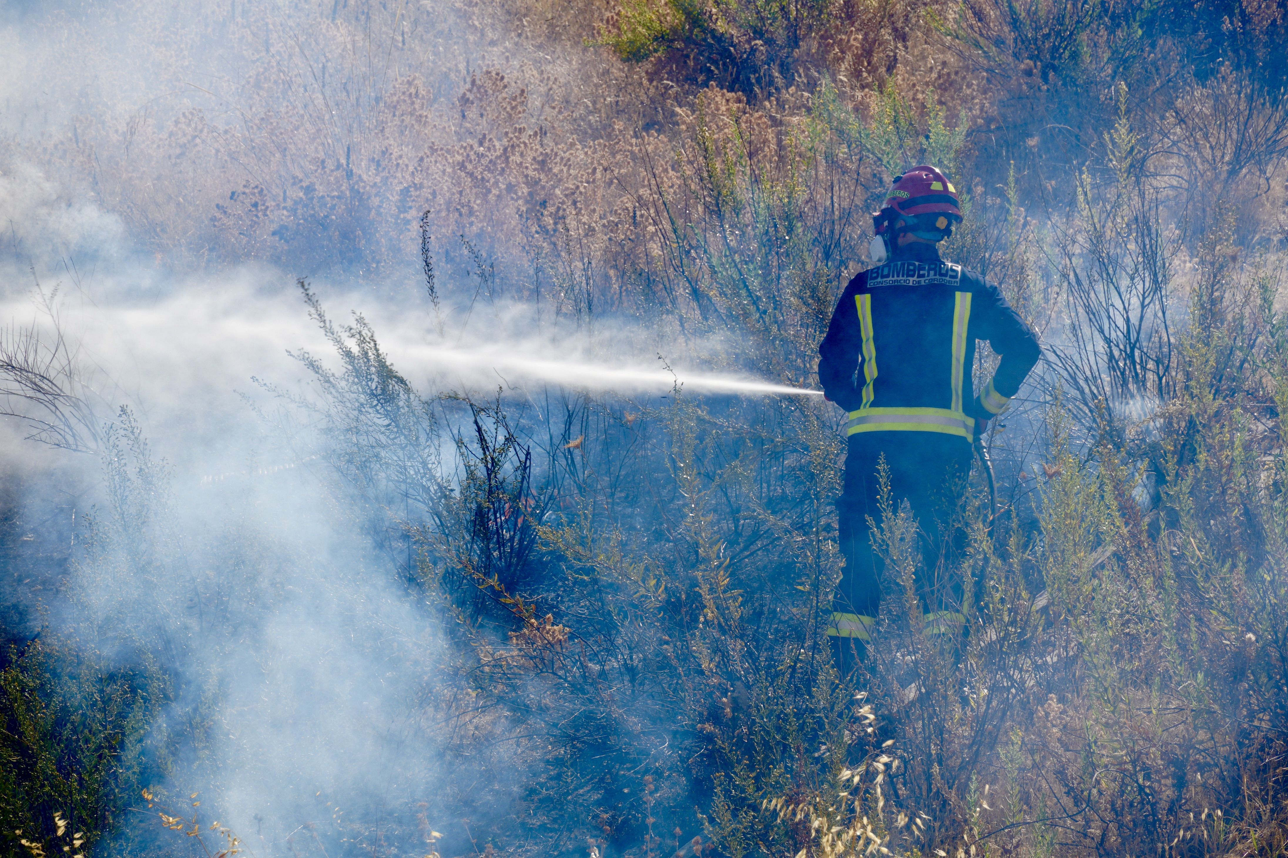 Incendio en El Zarpazo