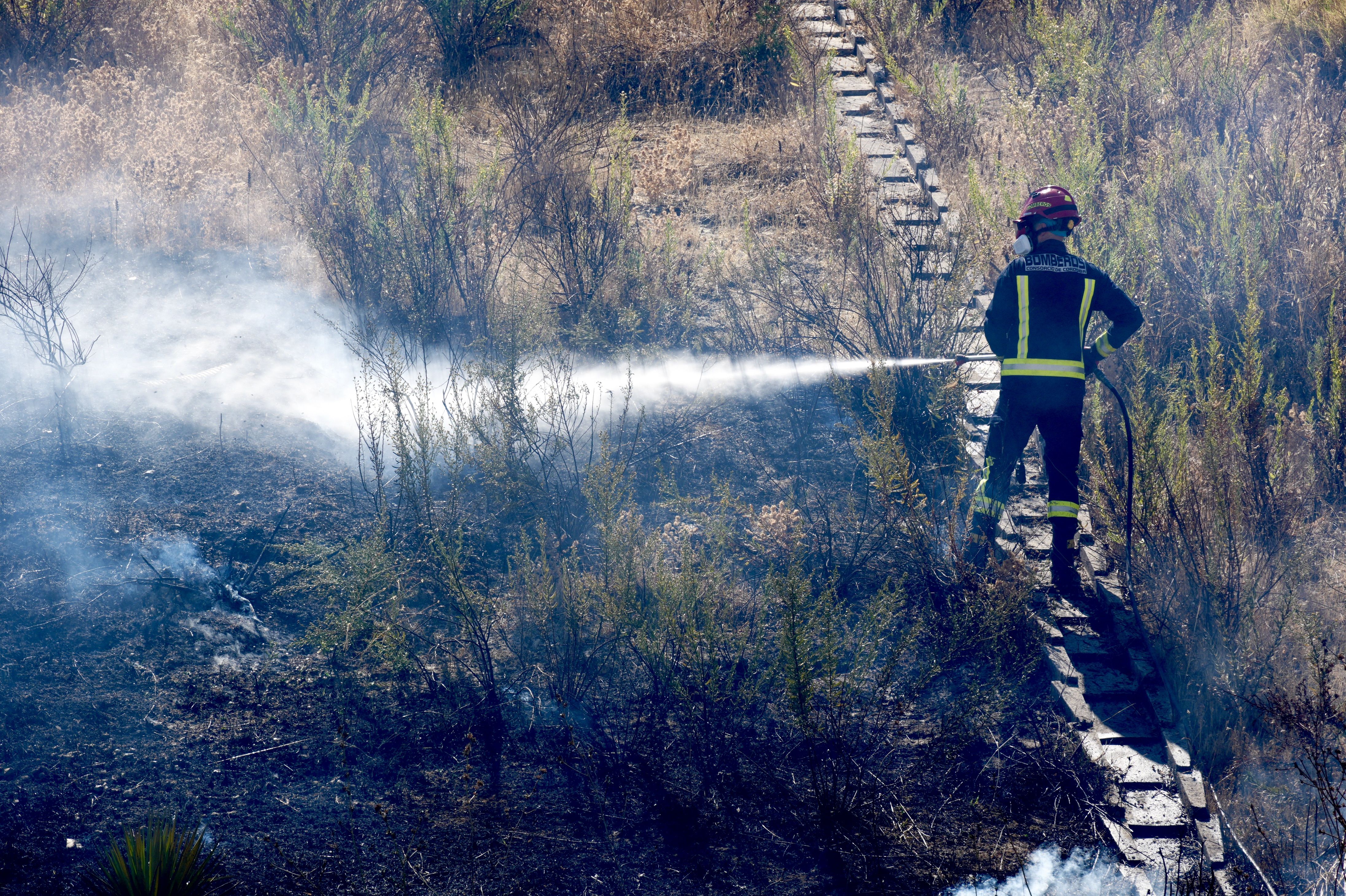 Incendio en El Zarpazo
