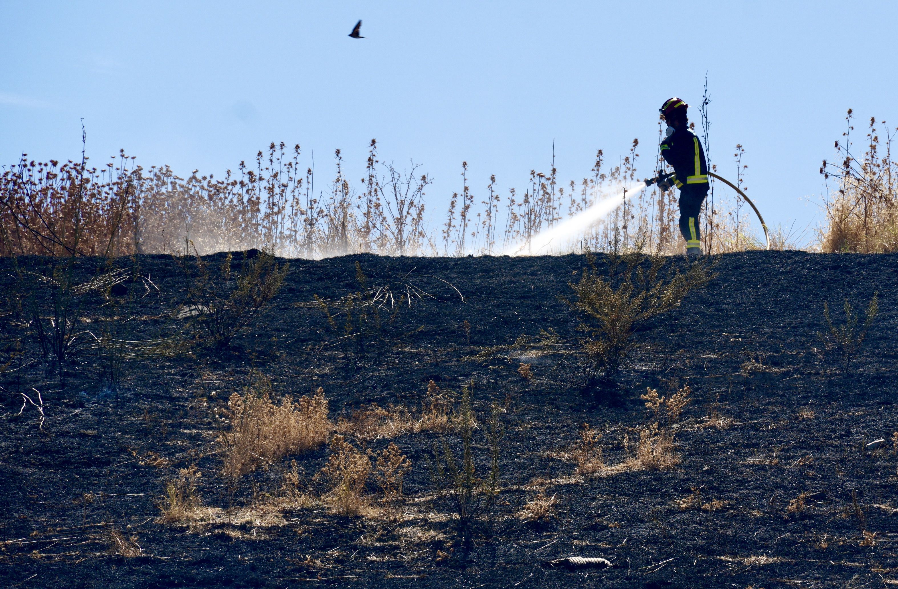 Incendio en El Zarpazo