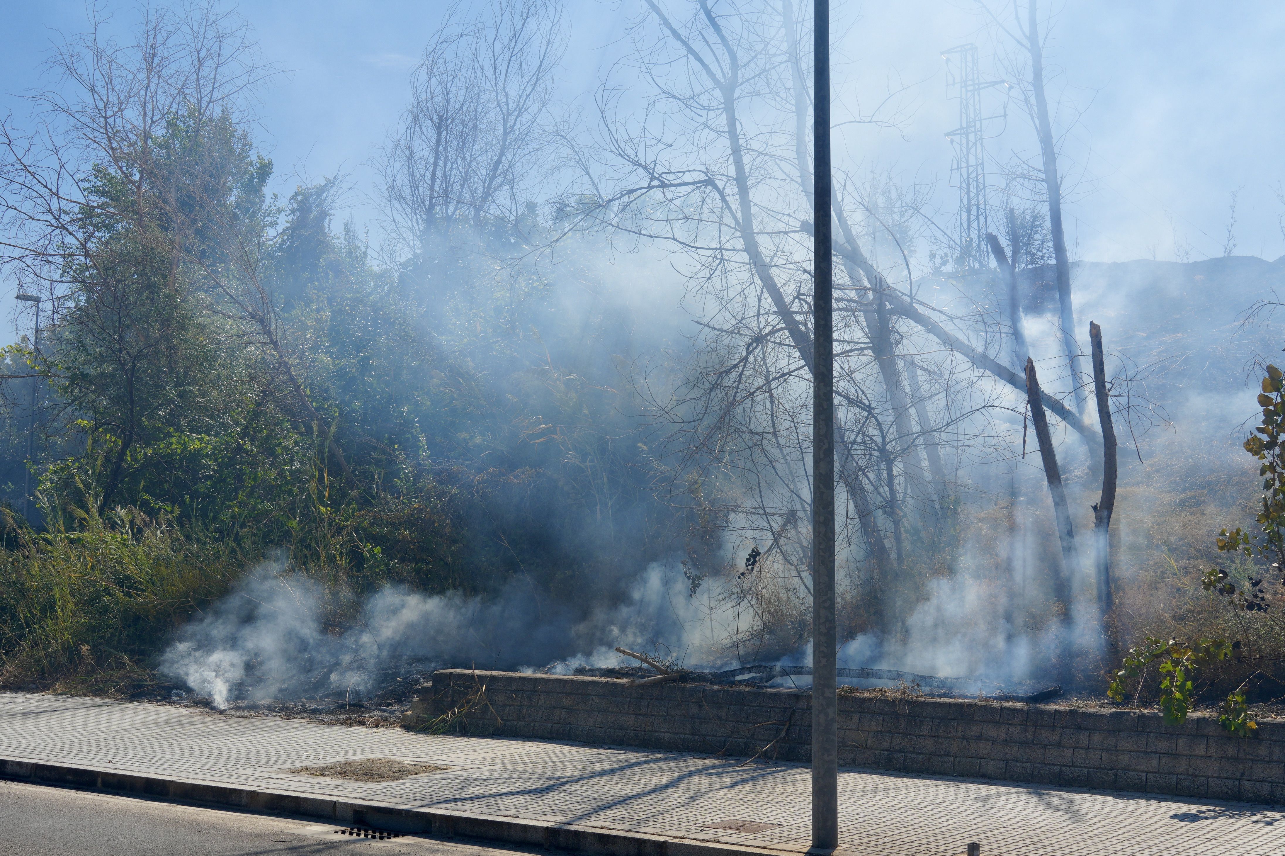 Incendio en El Zarpazo