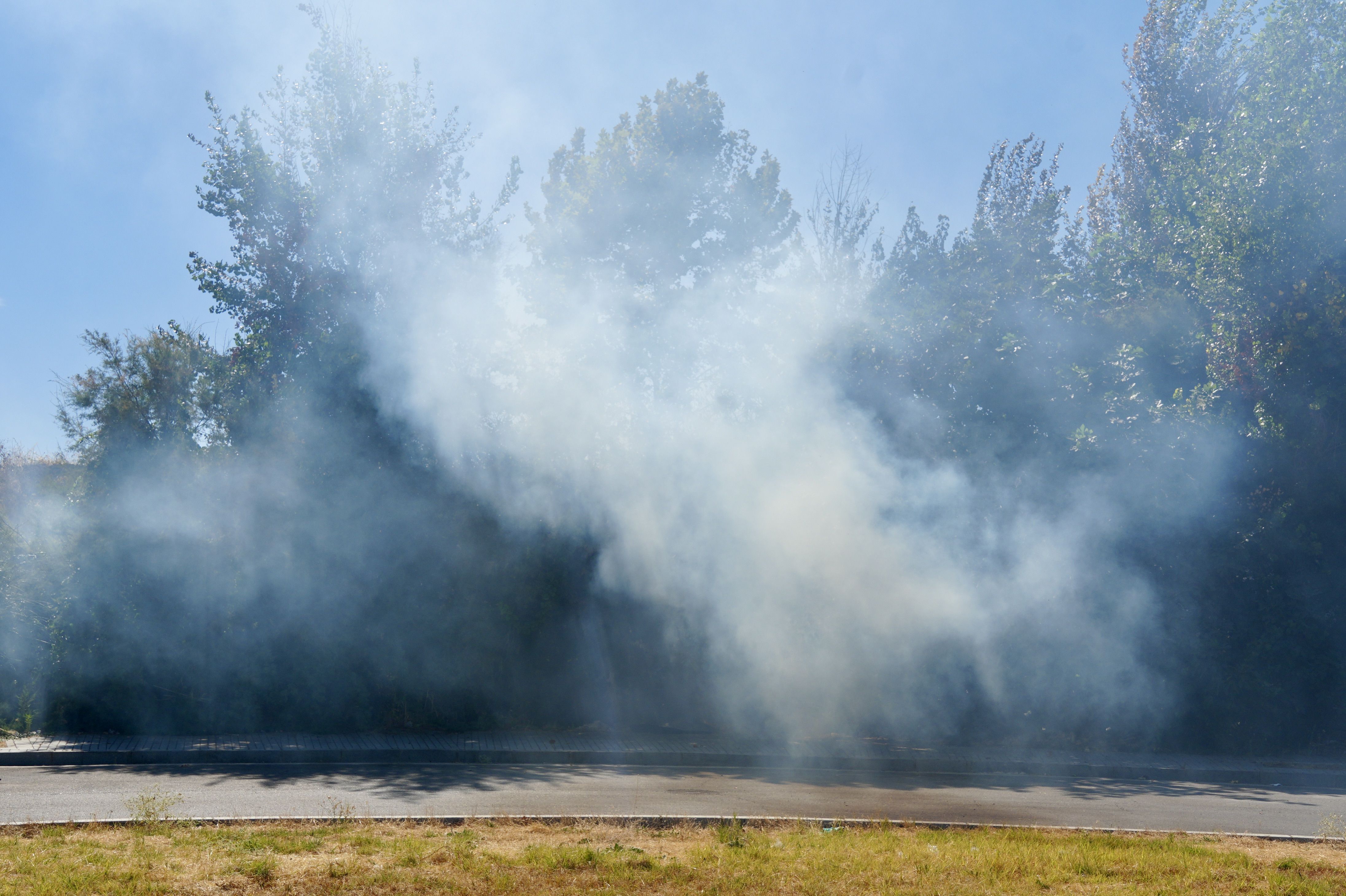 Incendio en El Zarpazo