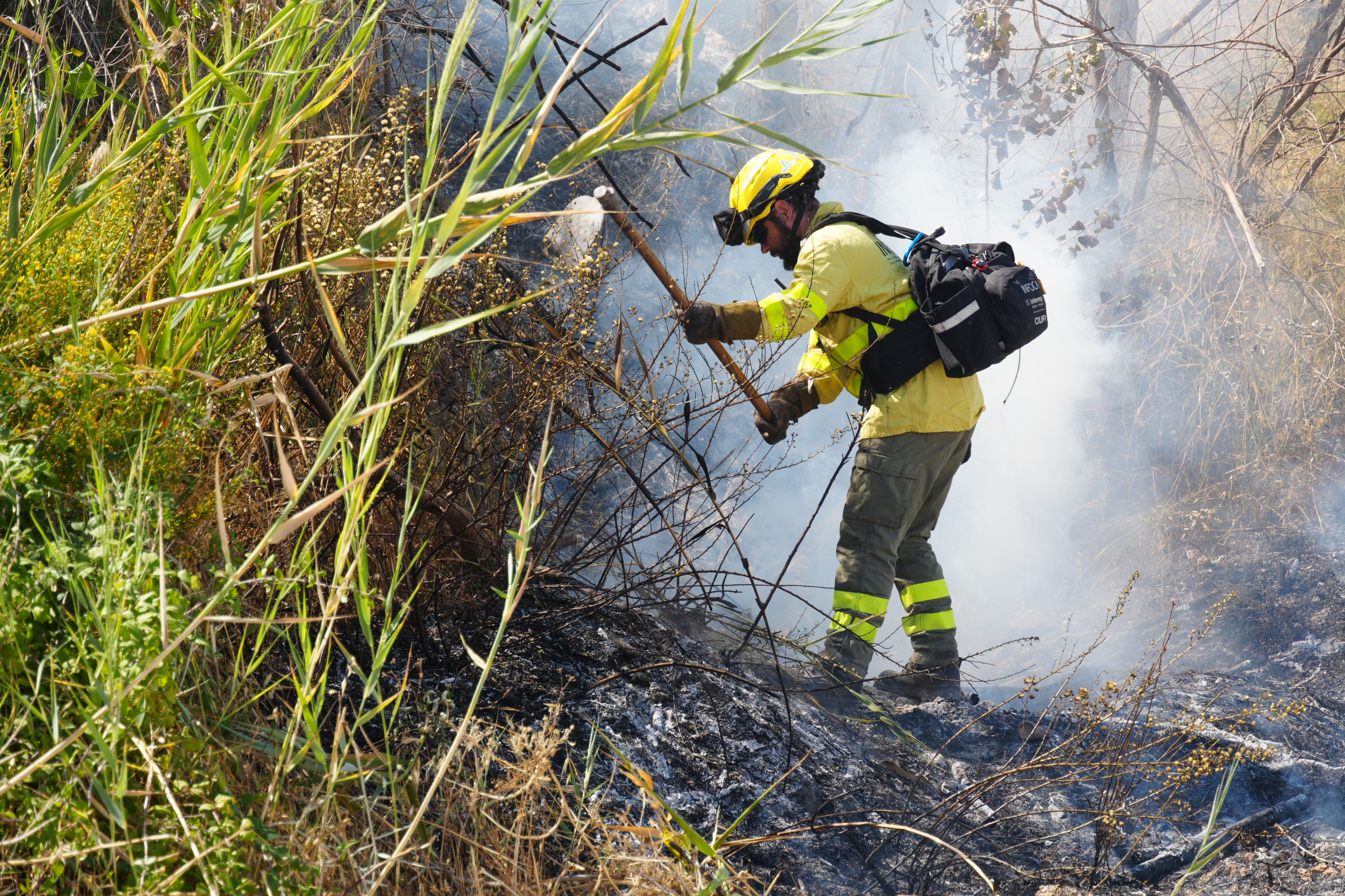 Incendio en El Zarpazo