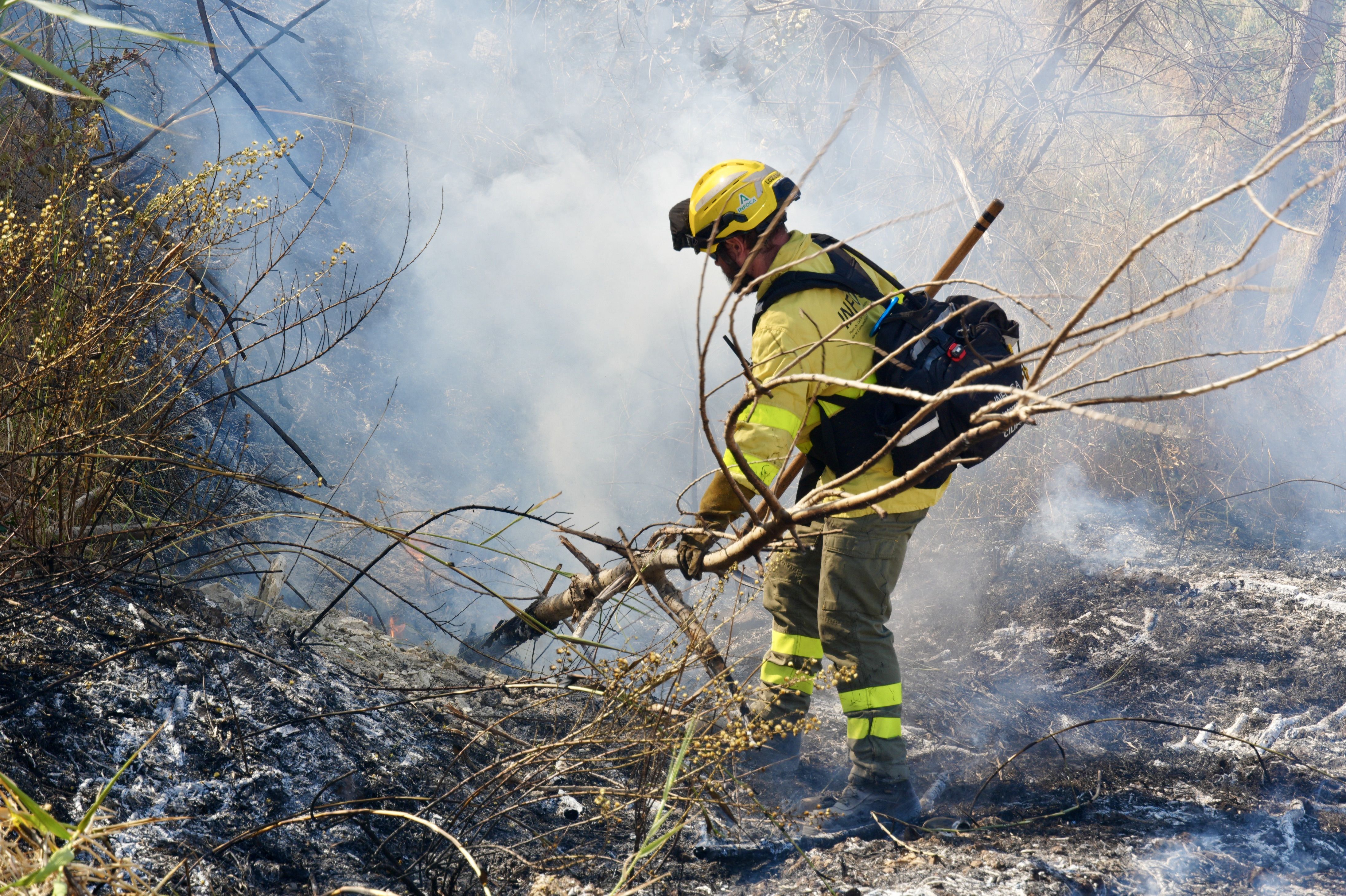 Incendio en El Zarpazo