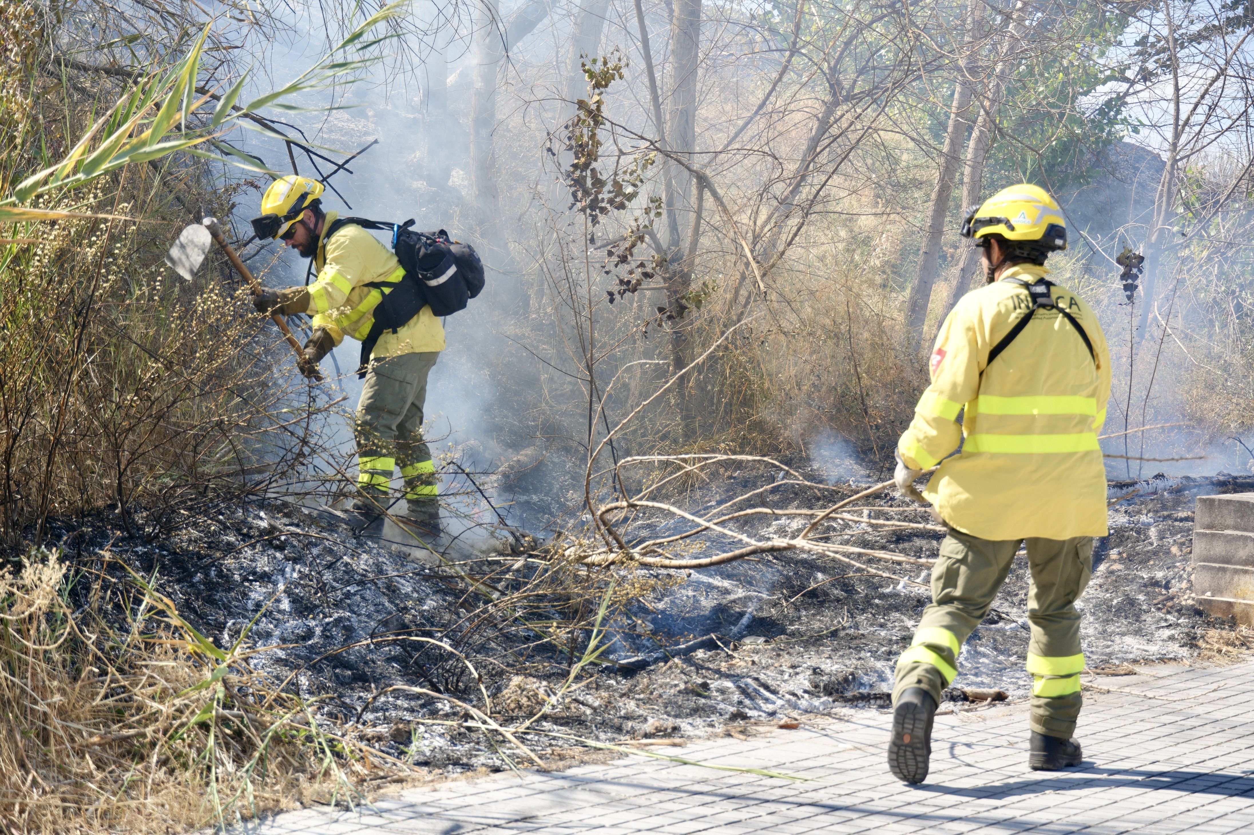 Incendio en El Zarpazo