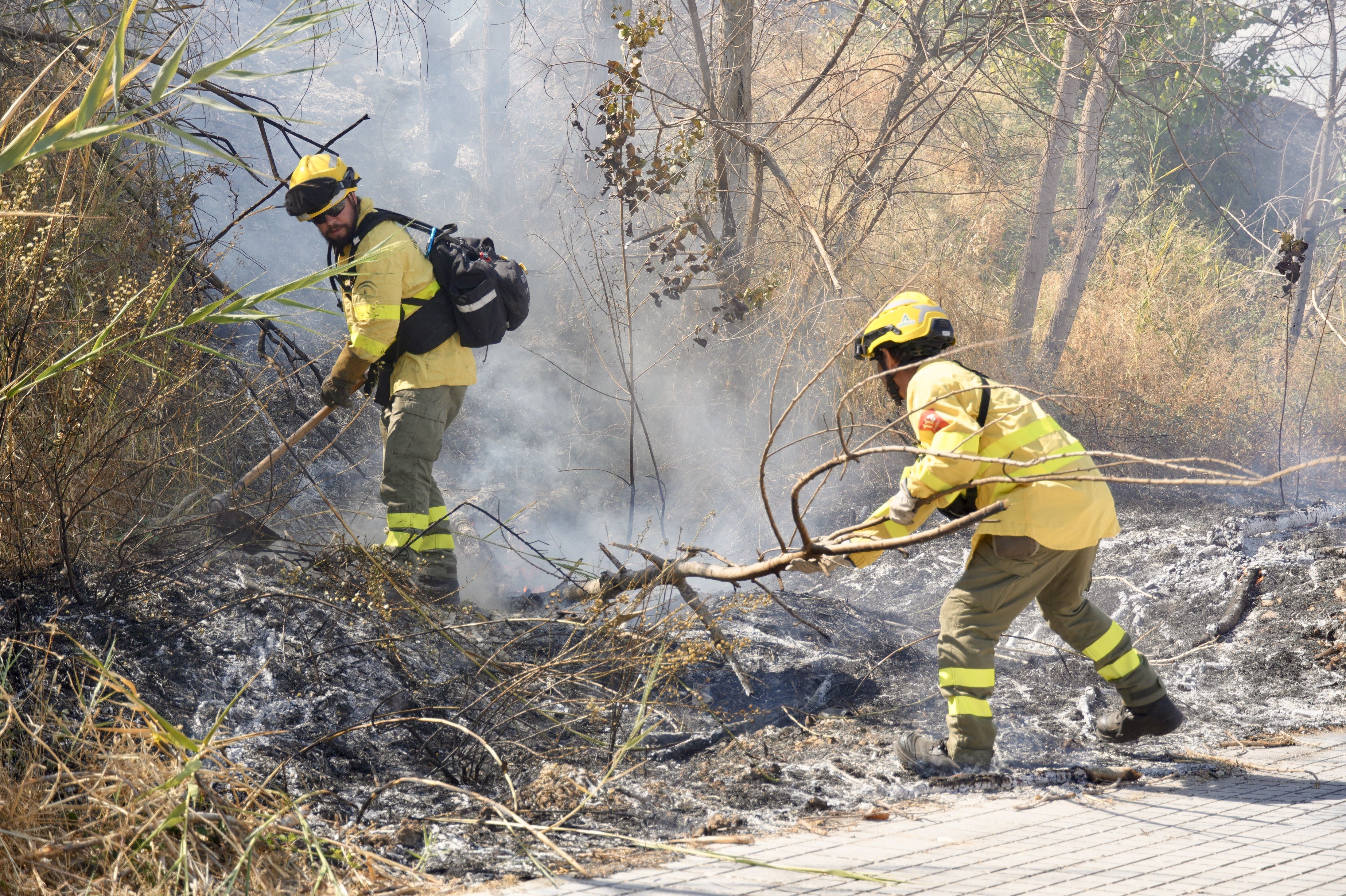Incendio en El Zarpazo