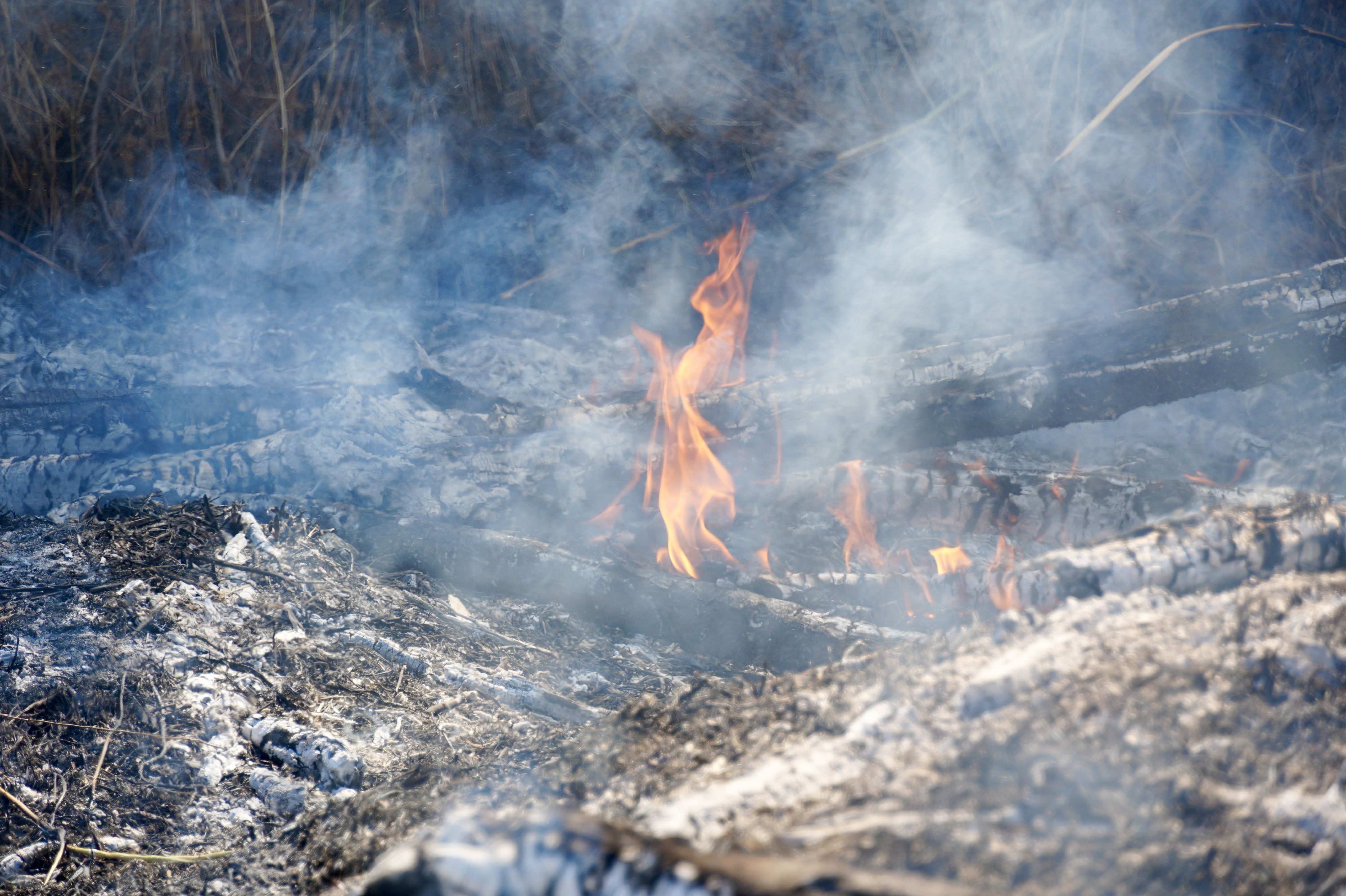 Incendio en El Zarpazo