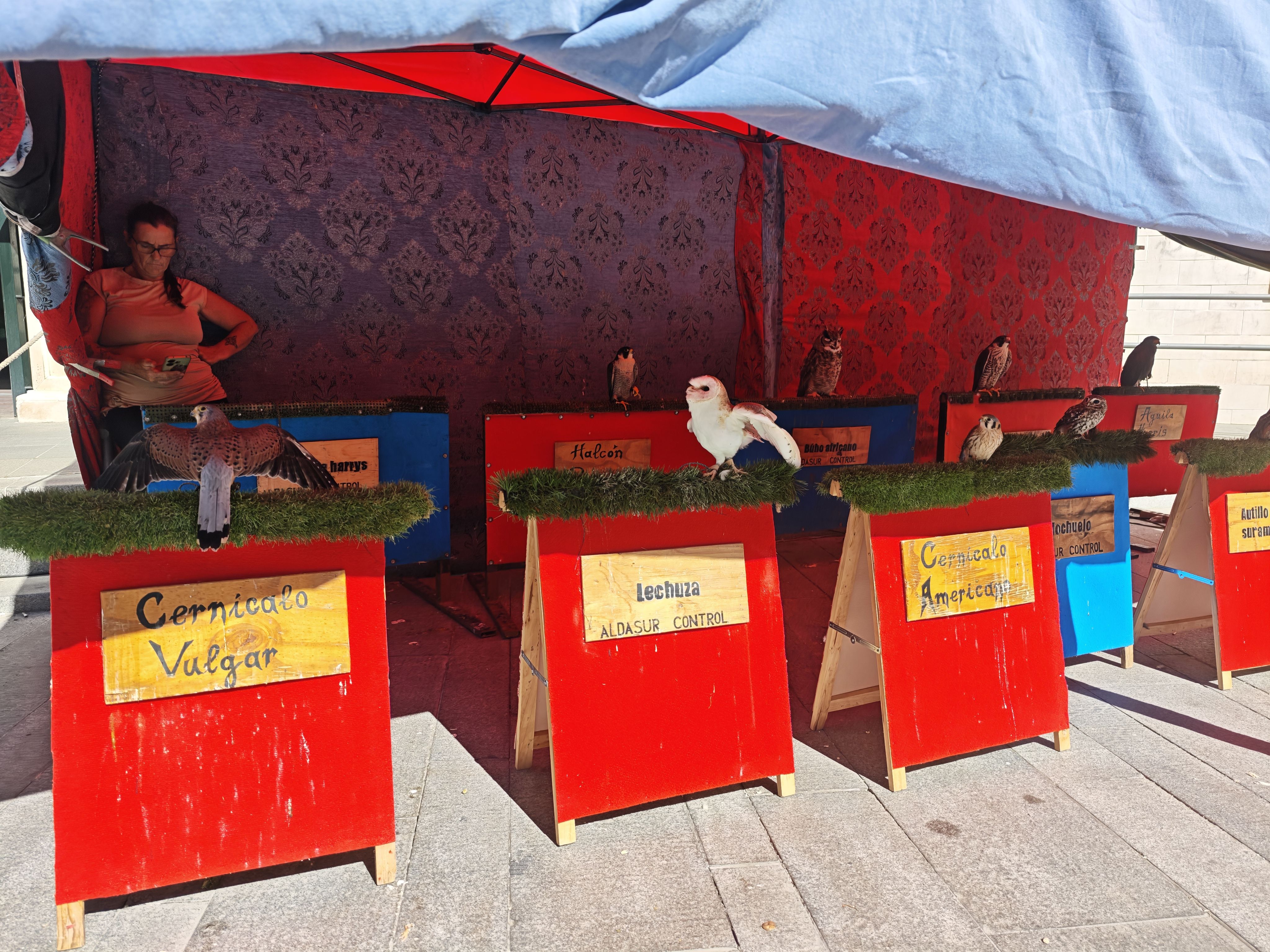 Inauguración Mercado Medieval
